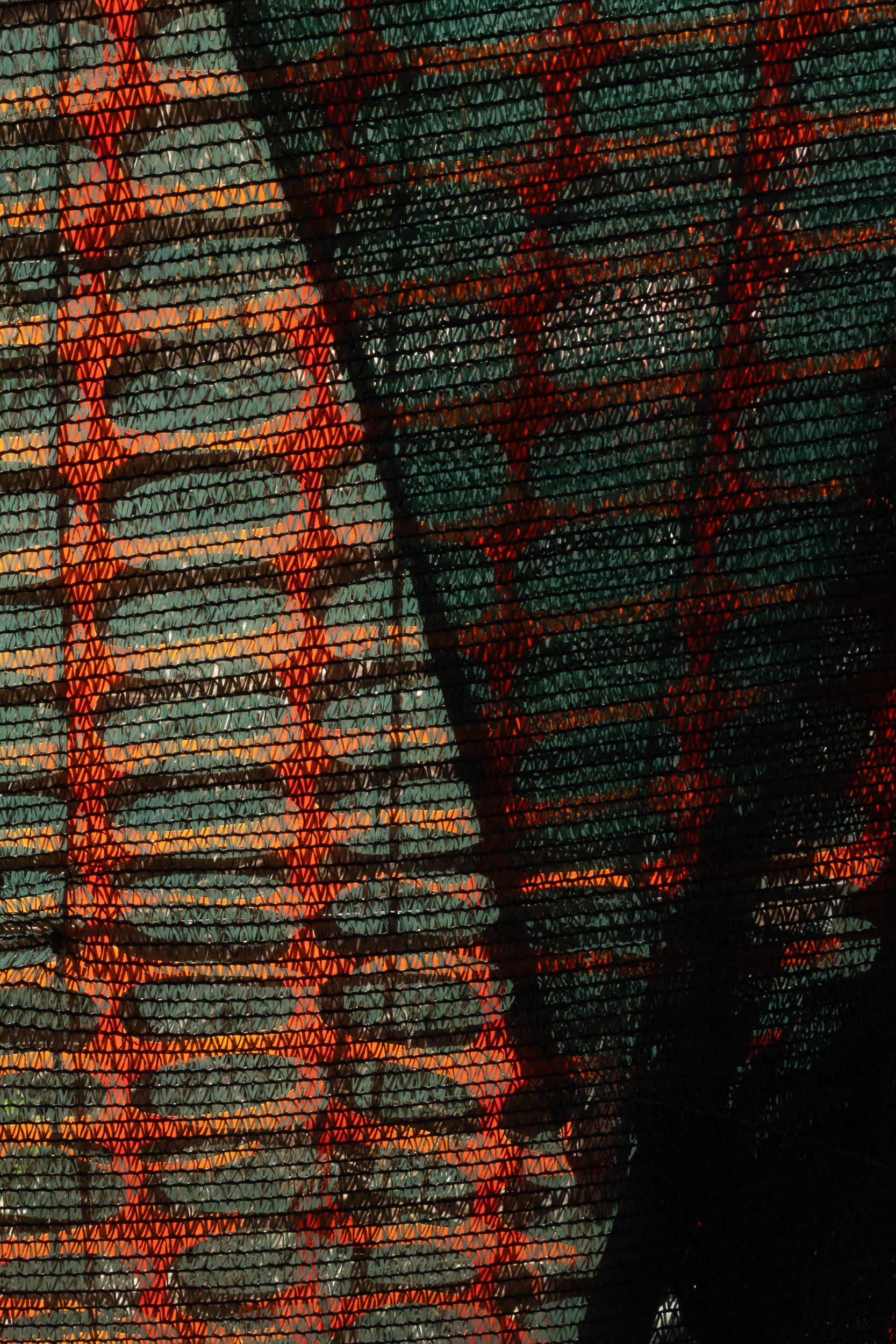 Netting, Sardinia, September 12, 2025