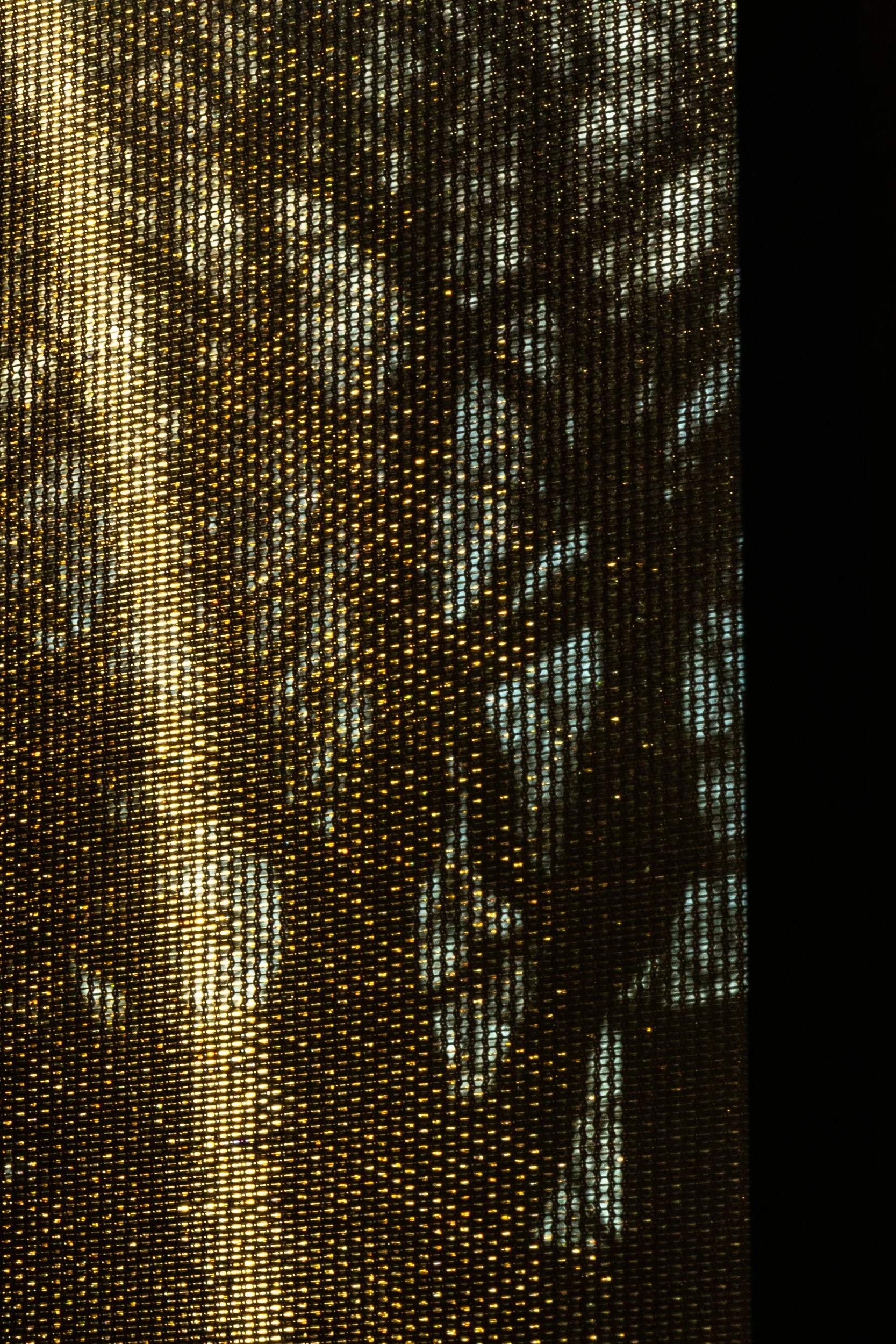 Trees, Louis Armstrong House, January 8, 2026