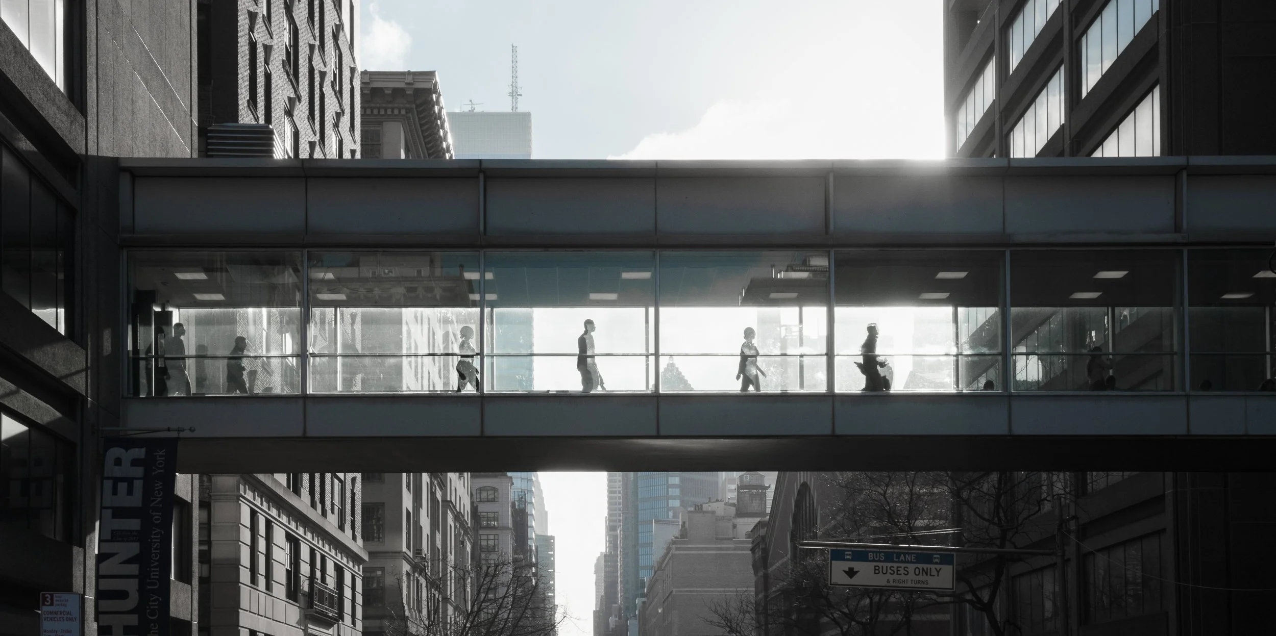 Hunter College Bridge, 2025