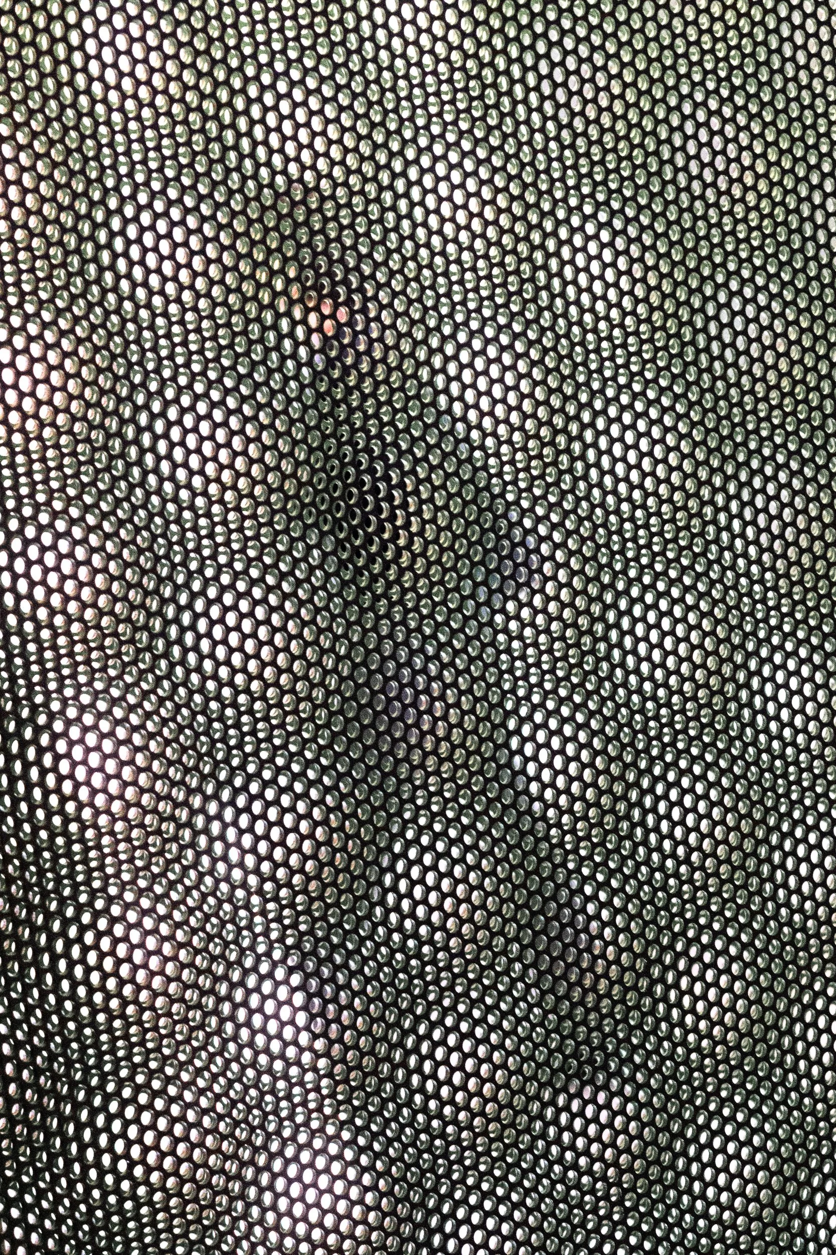 Screened, New Museum, 2026
