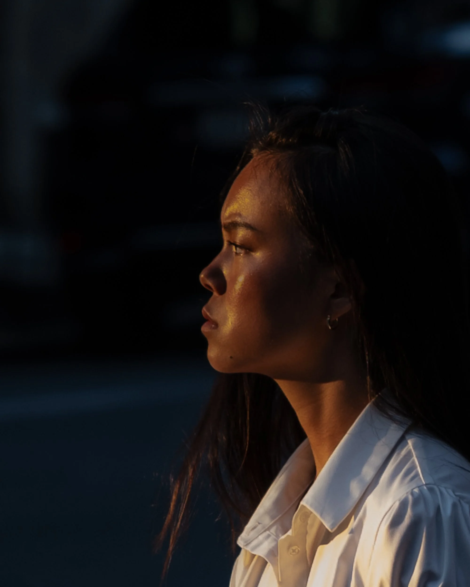 Woman in Late Afternoon Sun, Madison Avenue, 2026