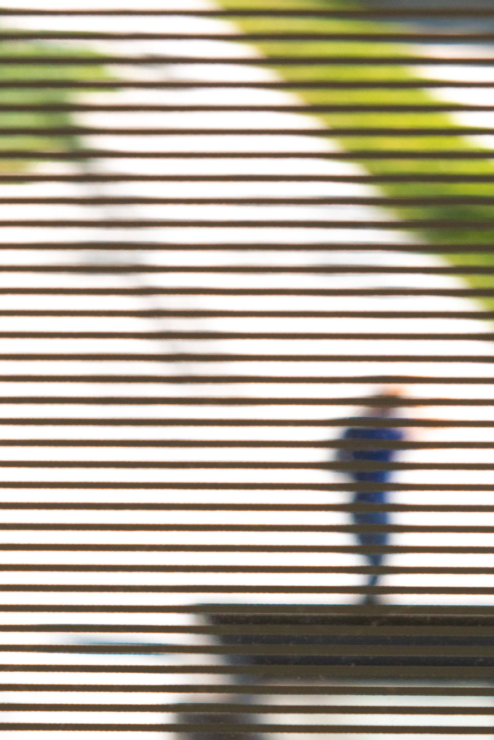 Figure in Garden, MOMA, 2024