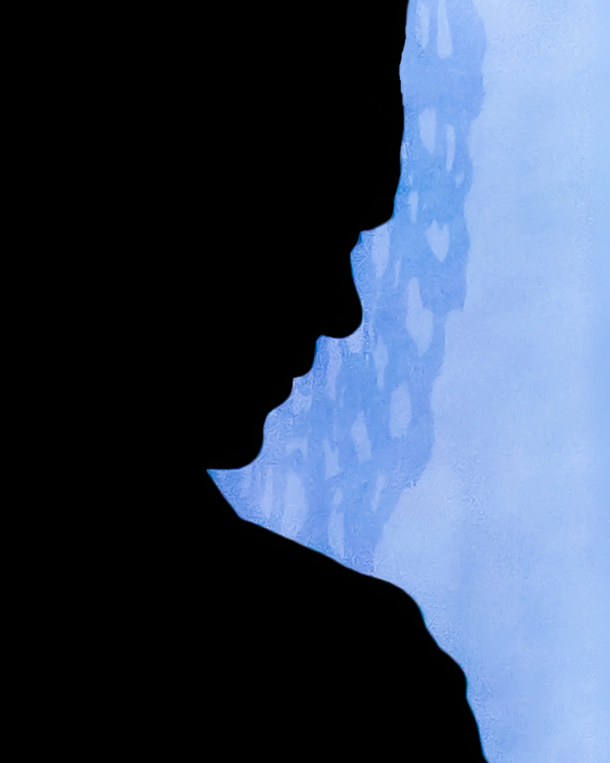 Silhouette, Whitney Museum, 2026