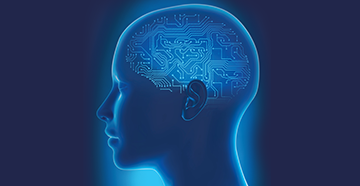 brain hearing.jpg