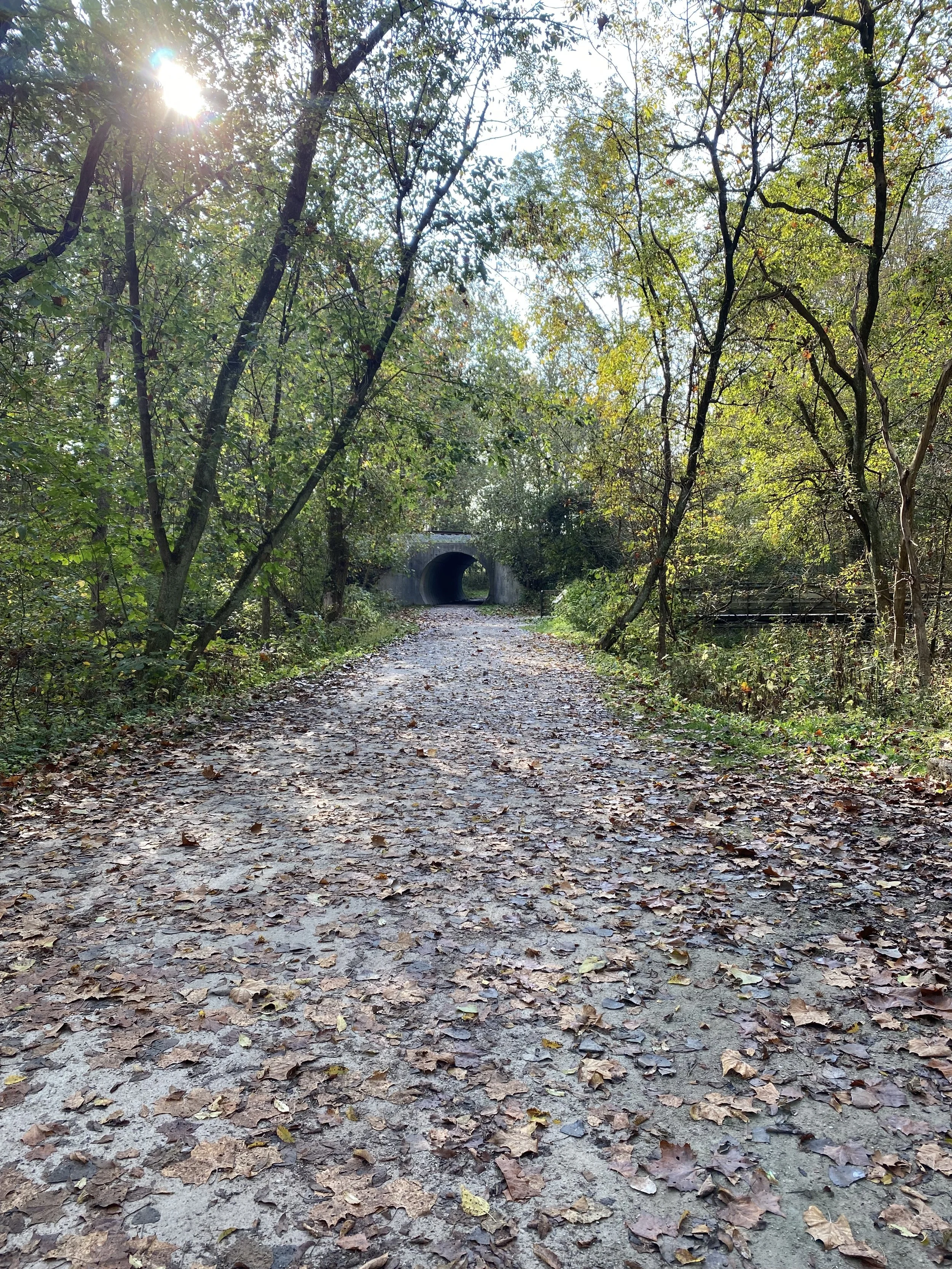 Blaze a Trail at the Trailhead
