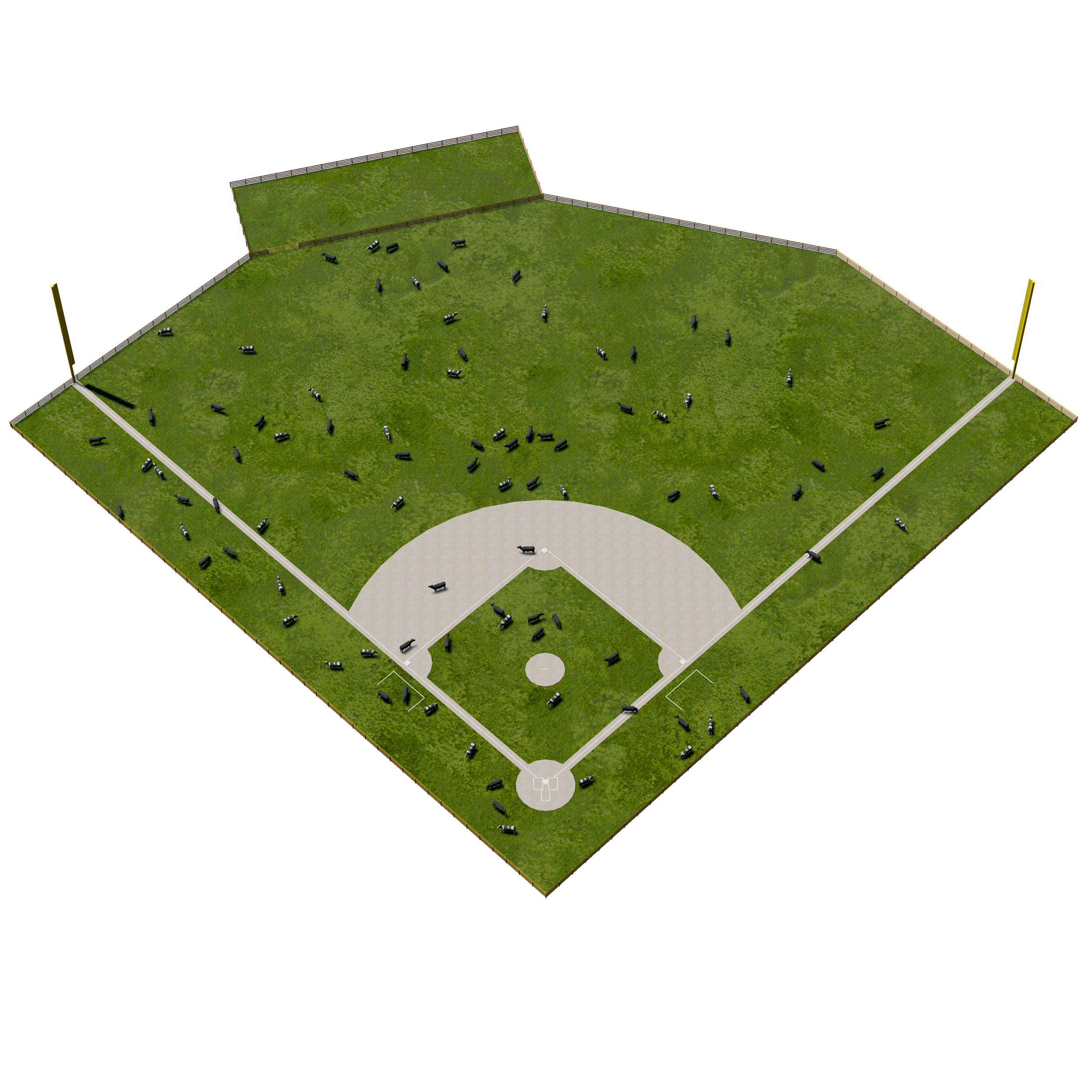  The baseball playing field as a site of ecological mutualism between humans and cows. The space of the pasture/baseball field conditions both cow and human bodies while also offering nutrition for cows and grounds maintenance for the humans. 