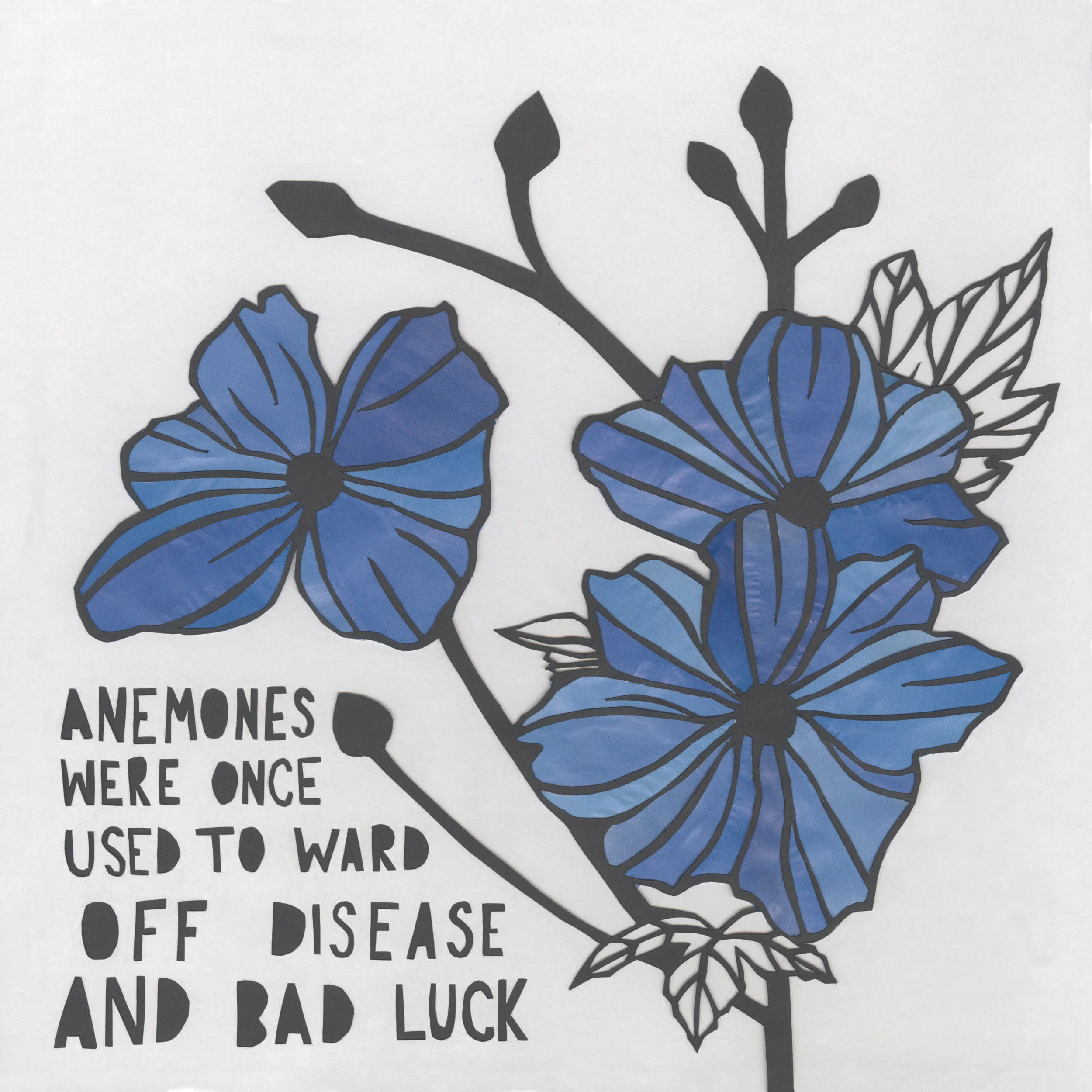 anemone finished.jpg