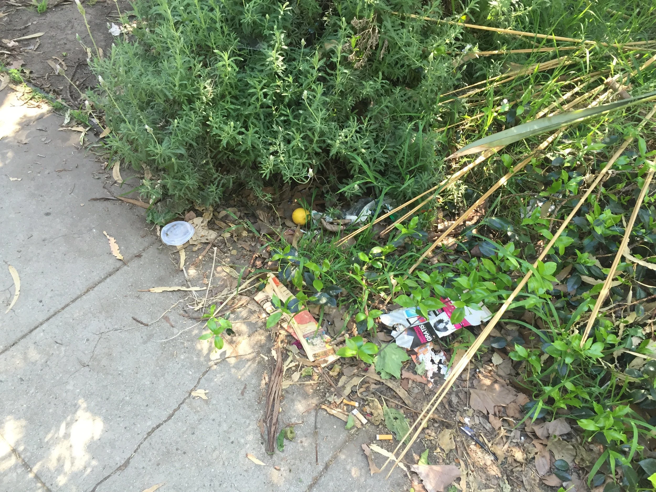 sidewalk2