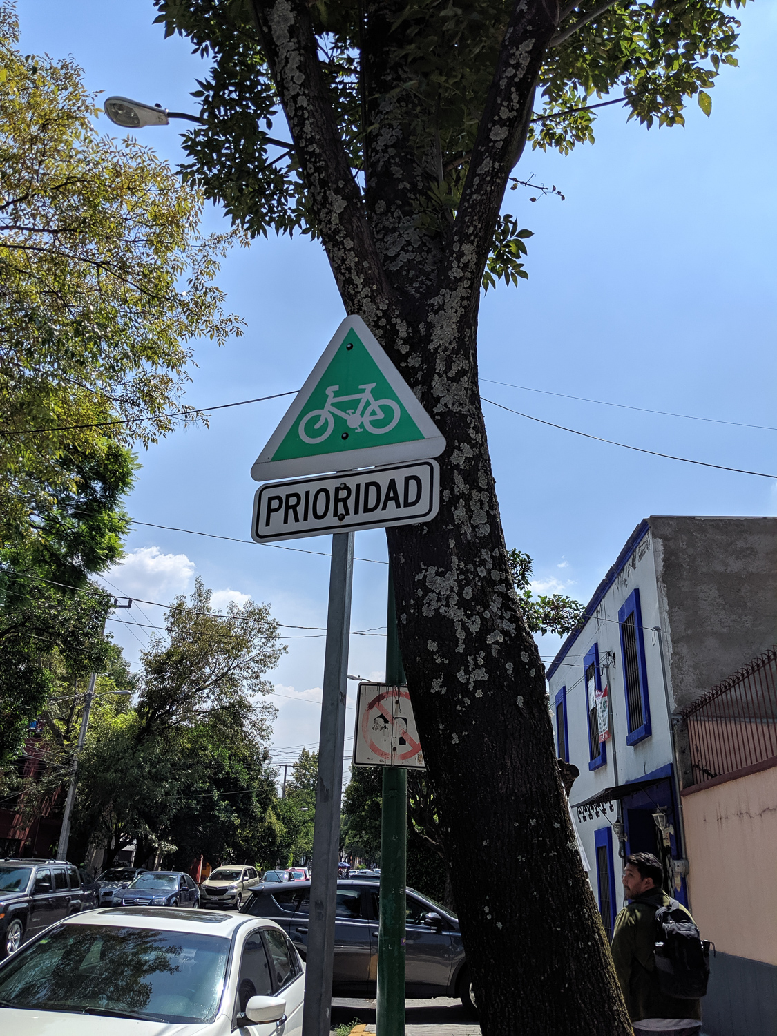  The roads are narrower, but the sidewalks are reminiscent of home - sometimes narrow and sometimes wide, but scattered with cracks, trees, bikes, and signs. There were roundabouts at what seemed like every major intersection, and even they had publi