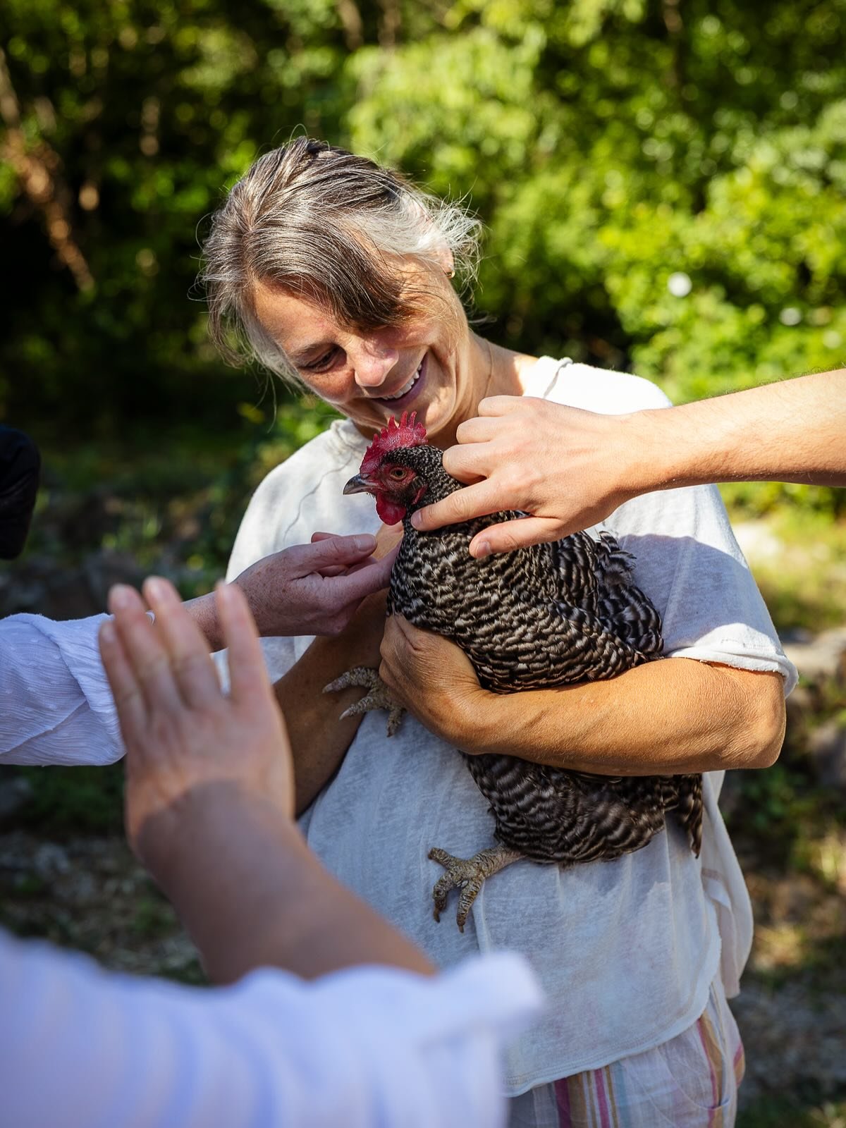 🌱
Everybody agrees &mdash; chickens are our favourites here at Pachamama 🐔💛

#pachamama #pachamamaretreat #farmretreat
#chickensofinstagram #farmanimals #slowliving #retreatlife #simplejoys #countrylife #farmlife #naturelovers #happyhens