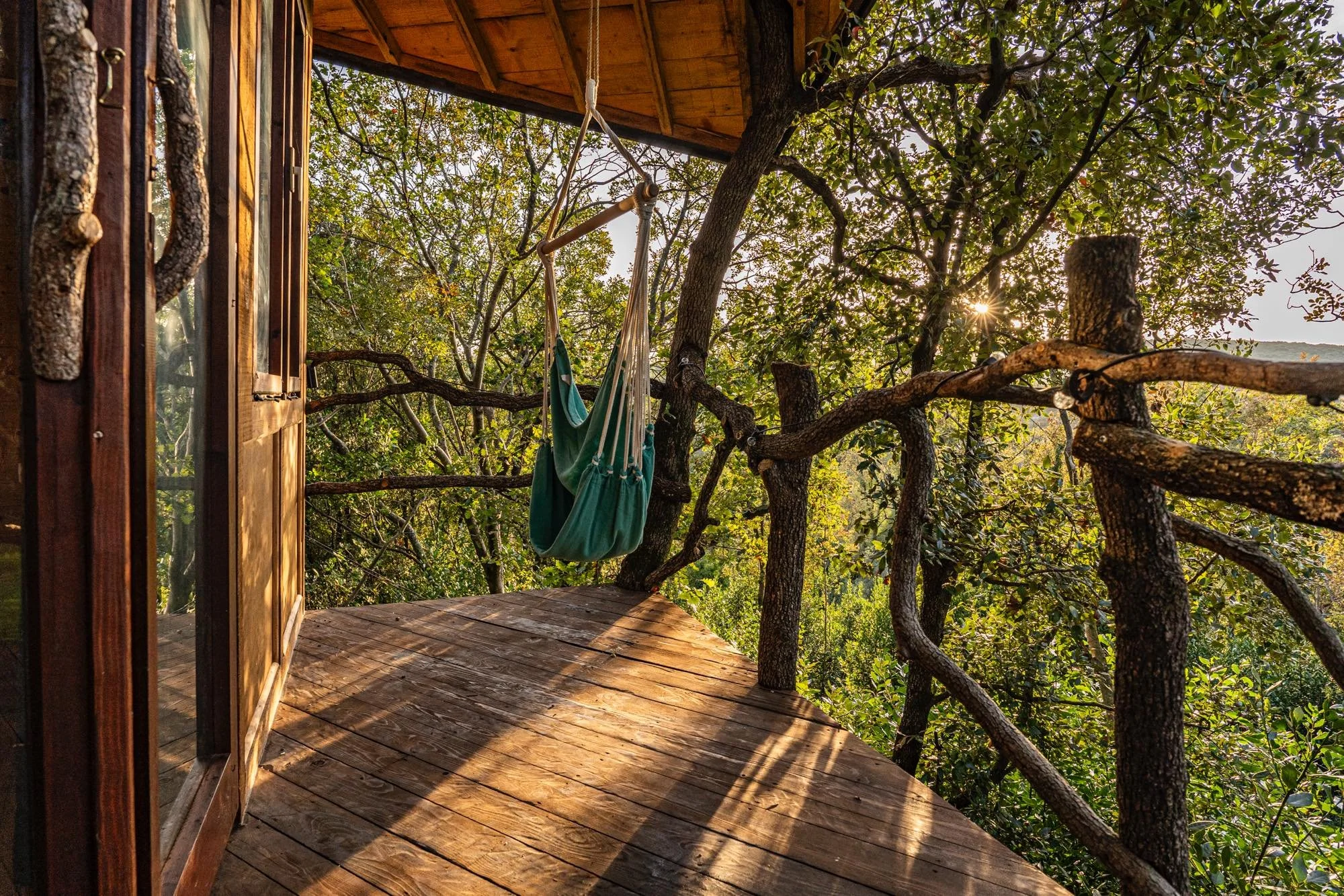 Tree house_2_small.jpg