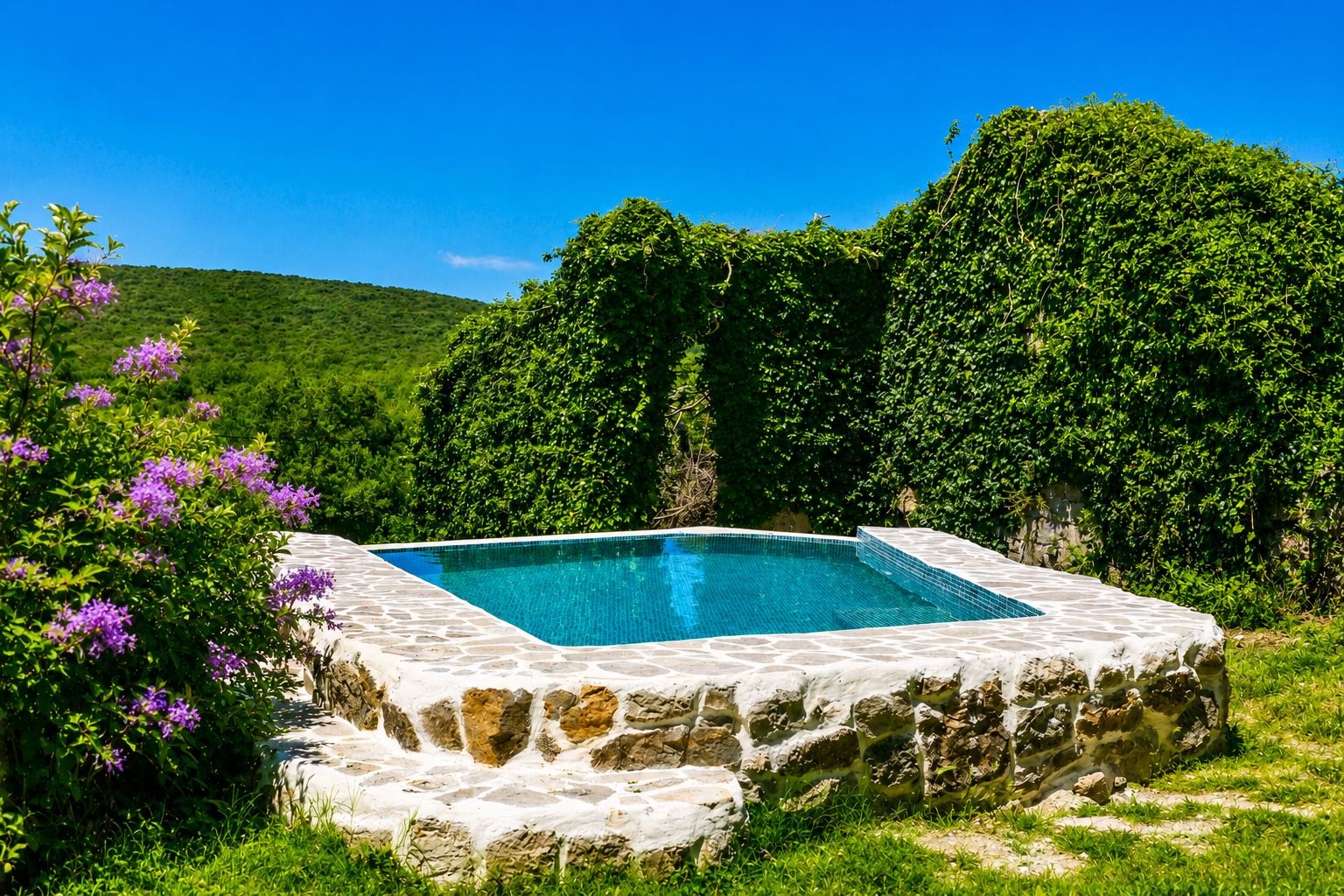 Pool1.jpg