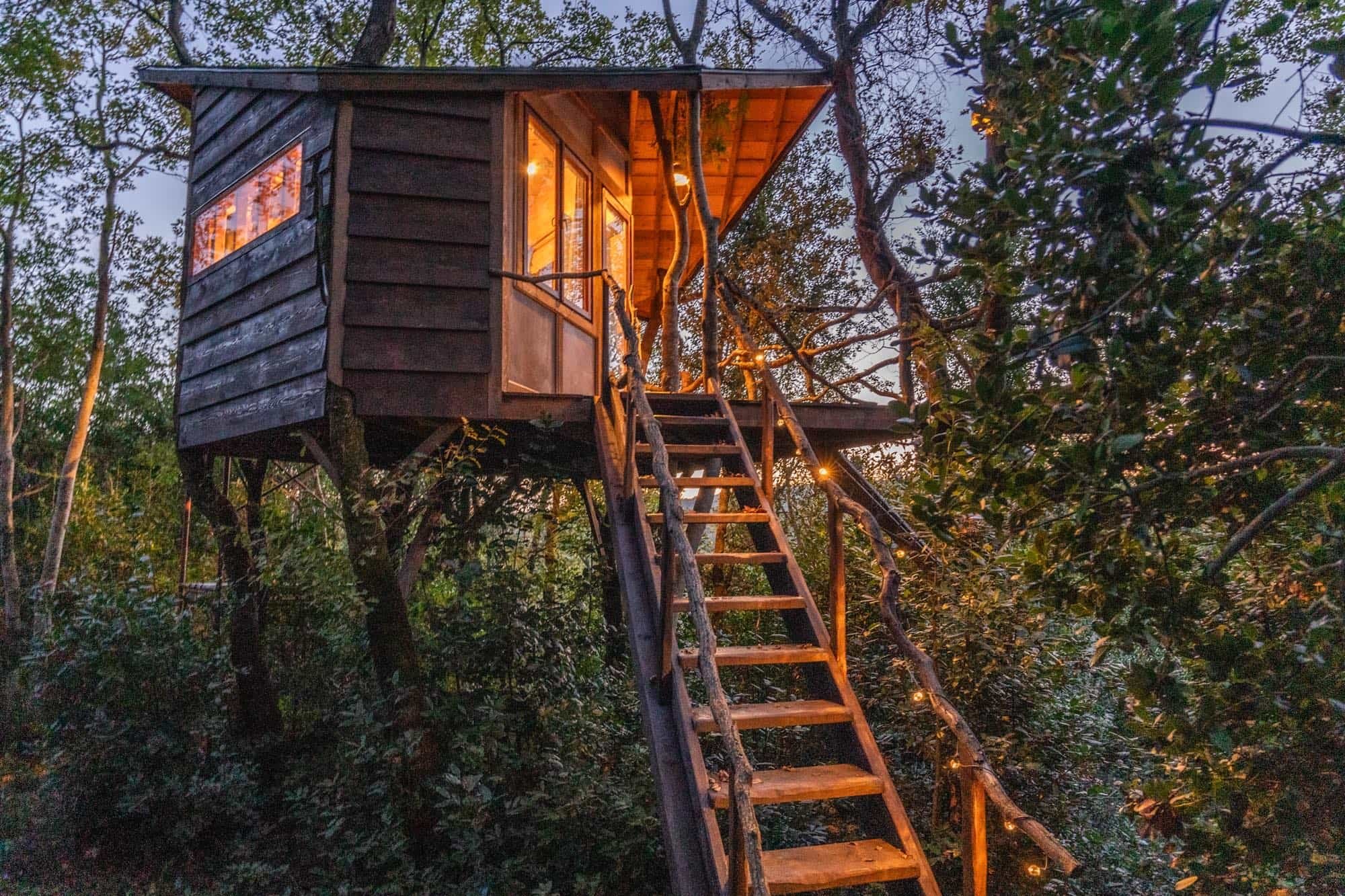 Treehouse.jpg