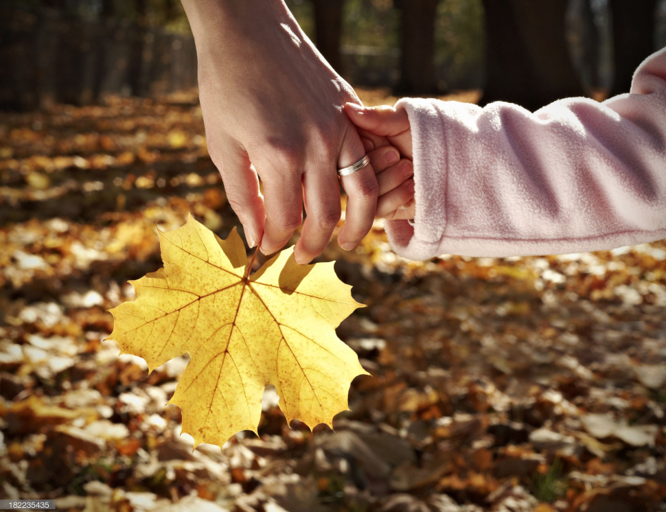 Screen Shot 2019-05-24 at 1.43.45 PM.png