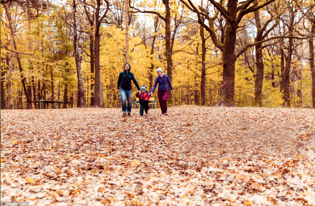 Screen Shot 2019-05-24 at 1.42.18 PM.png