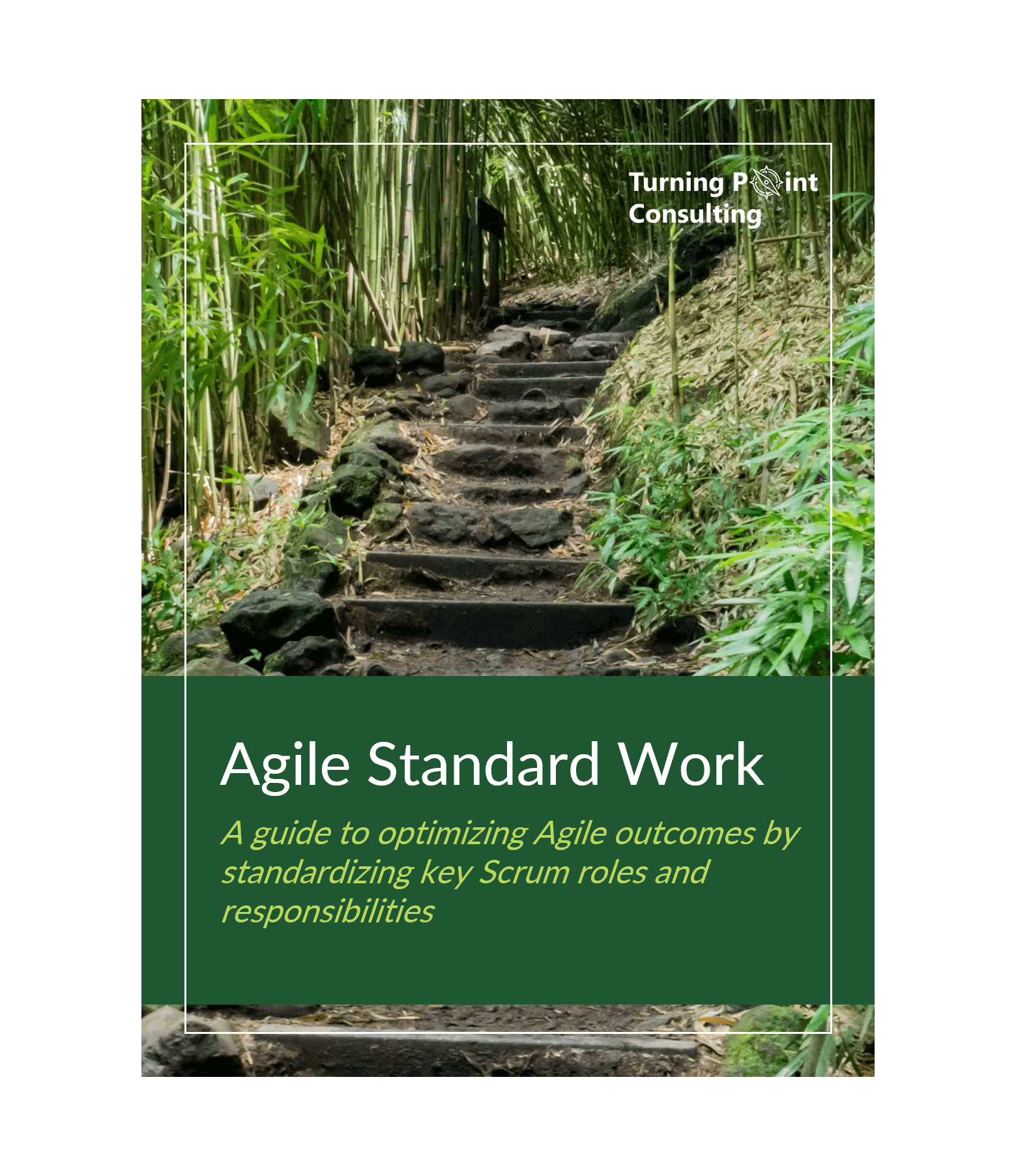 Turning Point Consulting