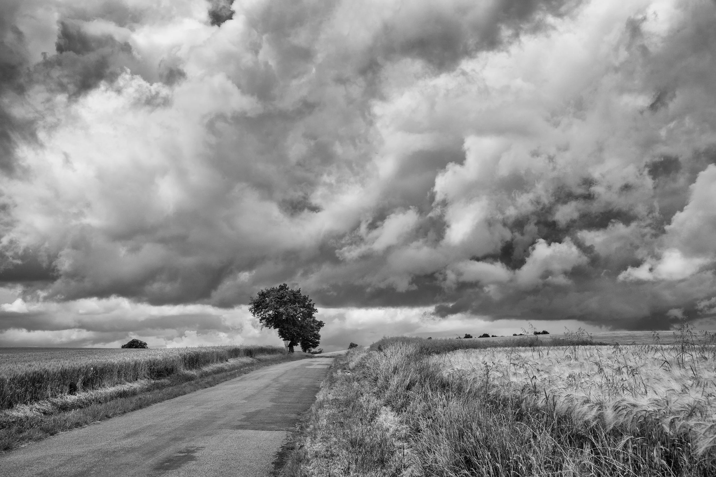 France-Burgundy-on-the-road-2023-Photo-Pierre-Toutain-Dorbec.jpg