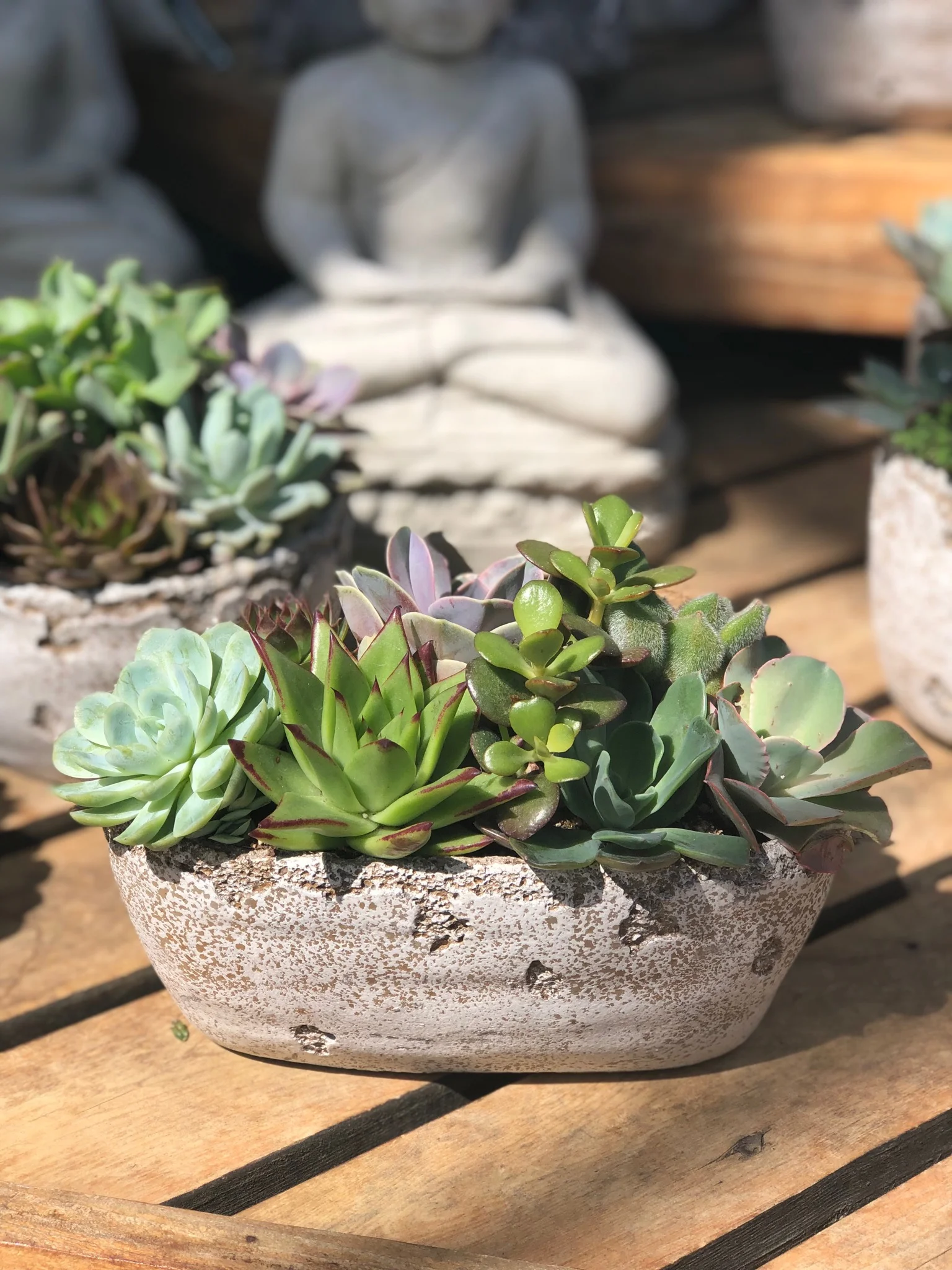 What to Plant in Early Spring