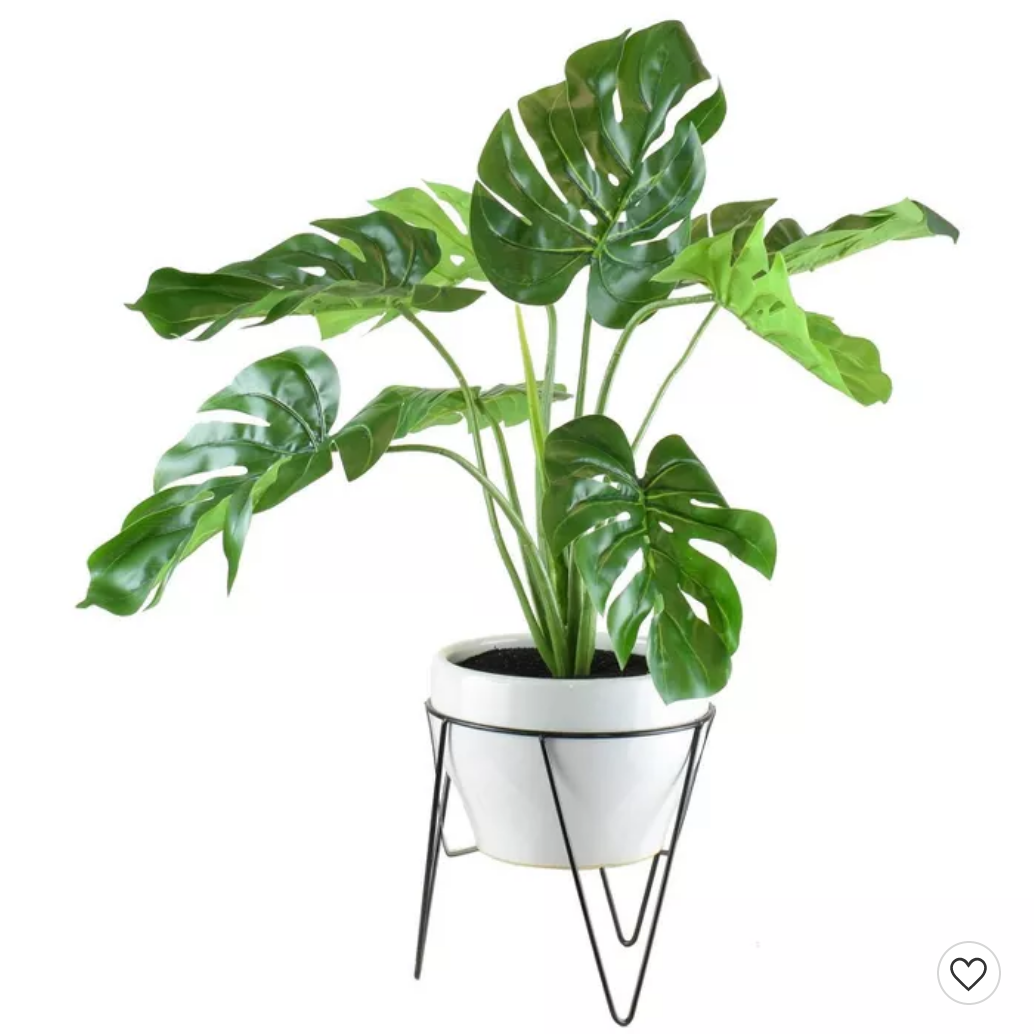 Screenshot_2021-01-03 28 #34; x 18 #34; Artificial Monstera in Mid Century Stand White - LCG Florals.png
