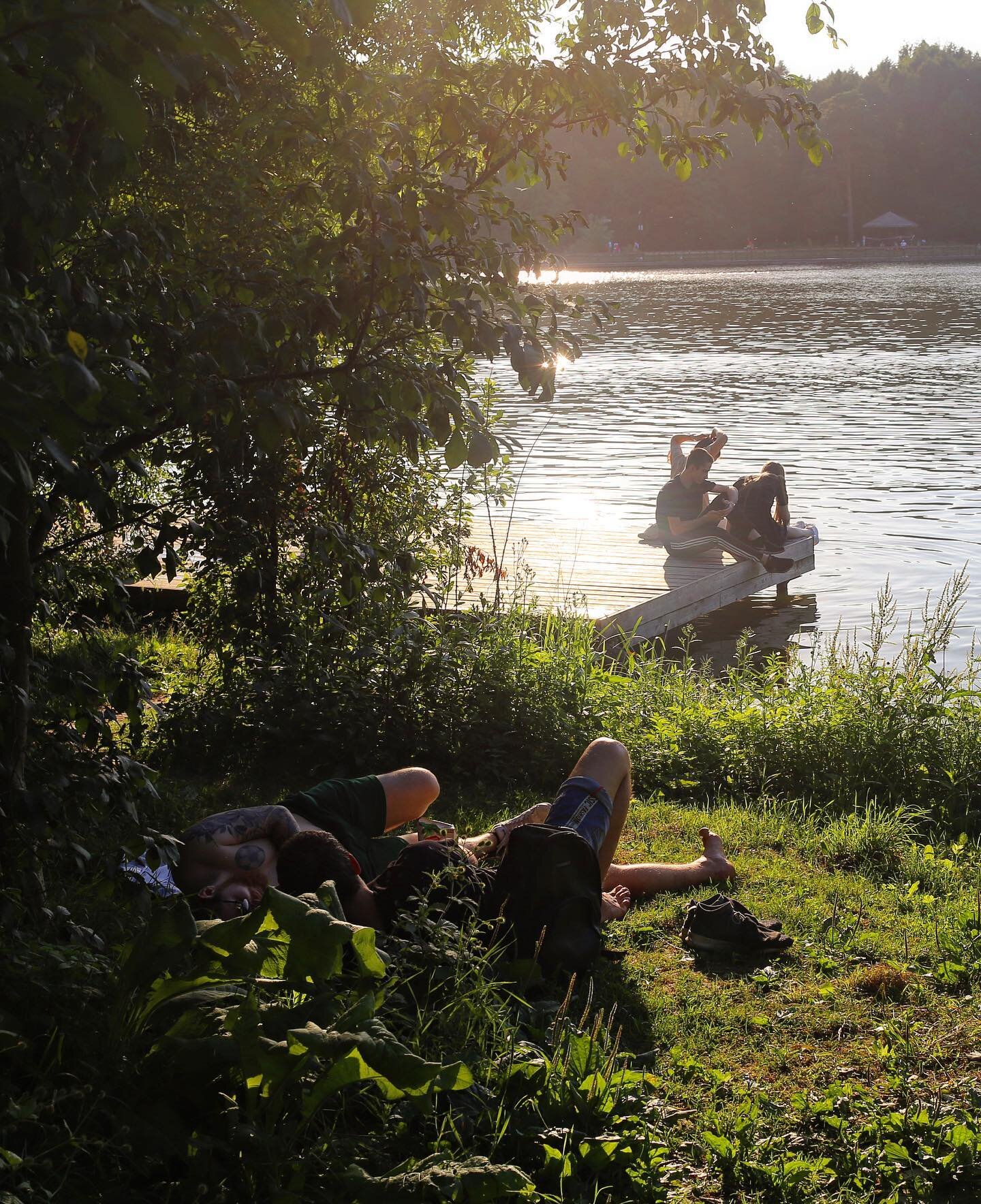 Summer zen just outside of Moscow
