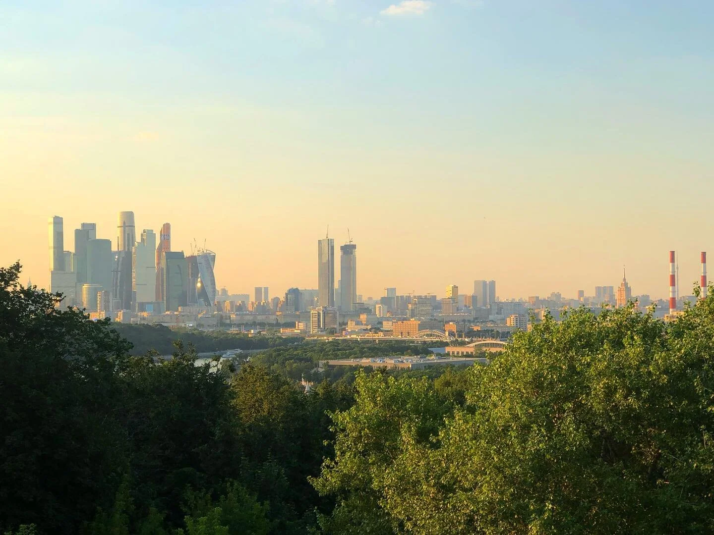 Moscow is golden and special in summer