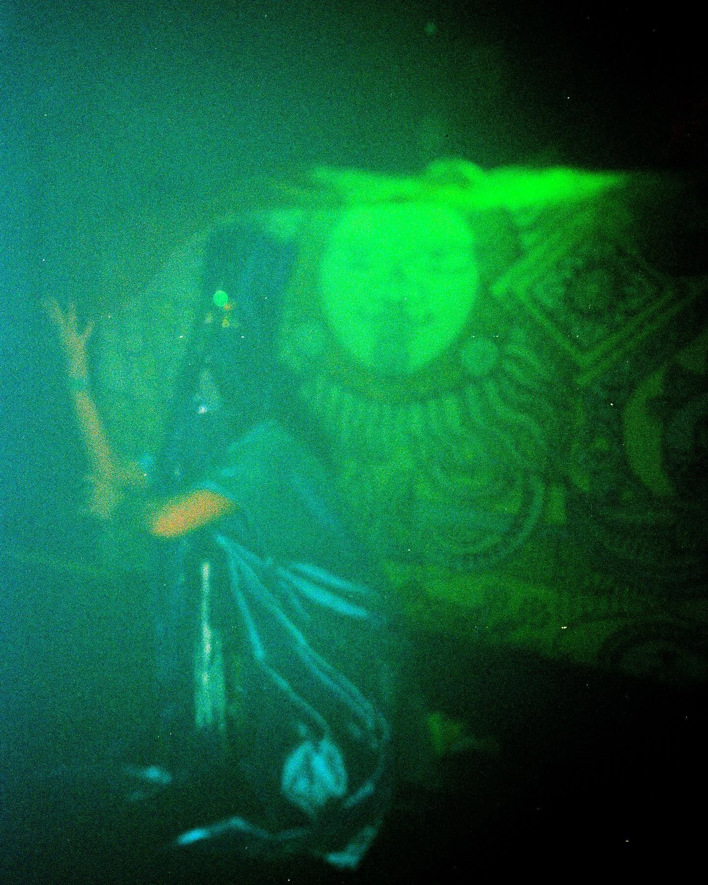 The cult 
Mask ➕ costume by @mir.aslova 
🎞️ by @leila__basma