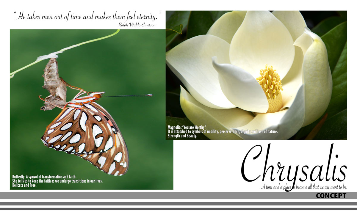 Chrysalis Inspiration