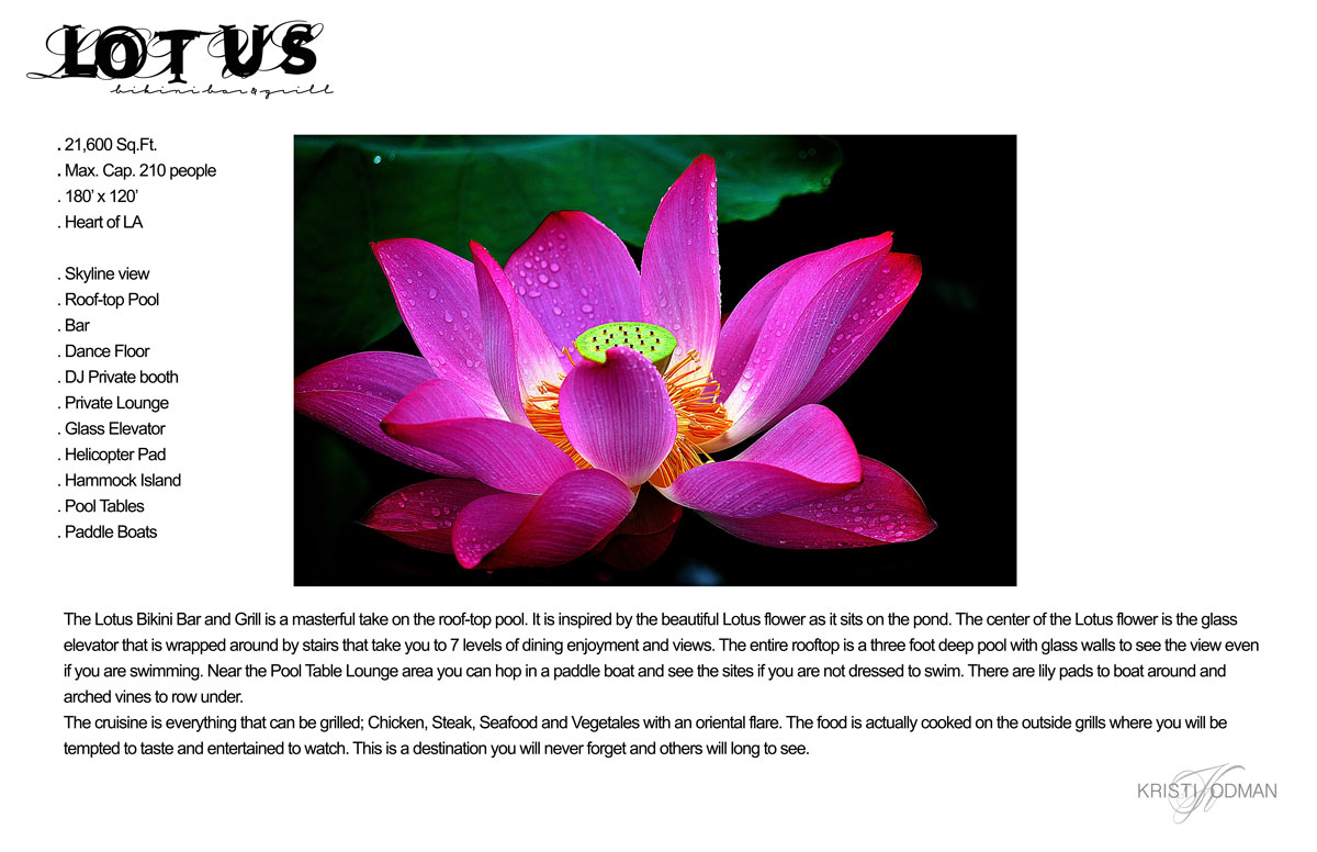 Lotus Inspiration
