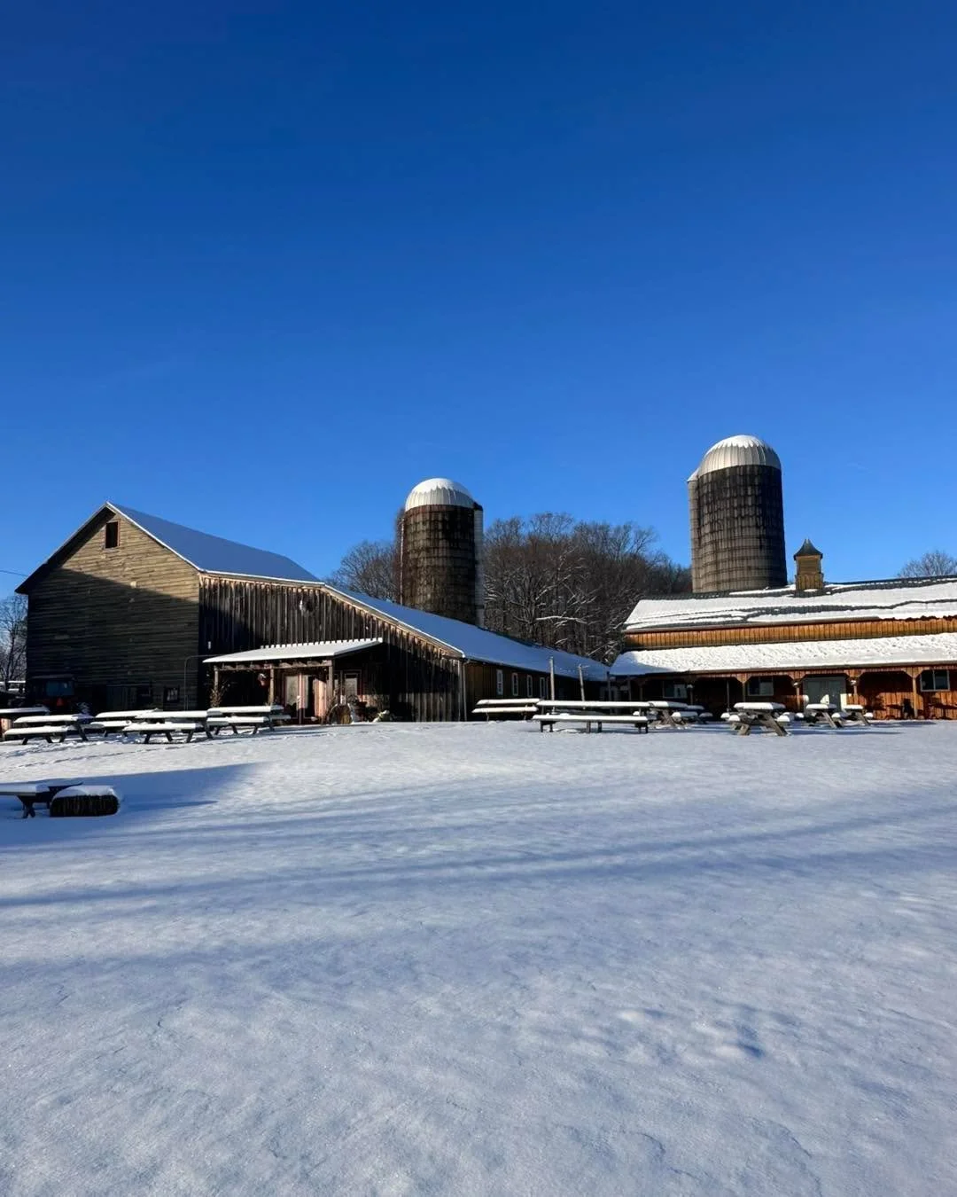 Brewing up some winter magic&mdash;where the snow meets the suds! ❄️🍻