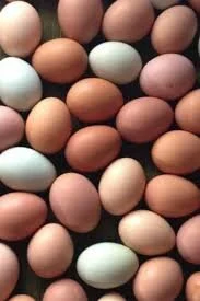 May Medium Egg Subscription (1 Dozen Eggs Weekly)