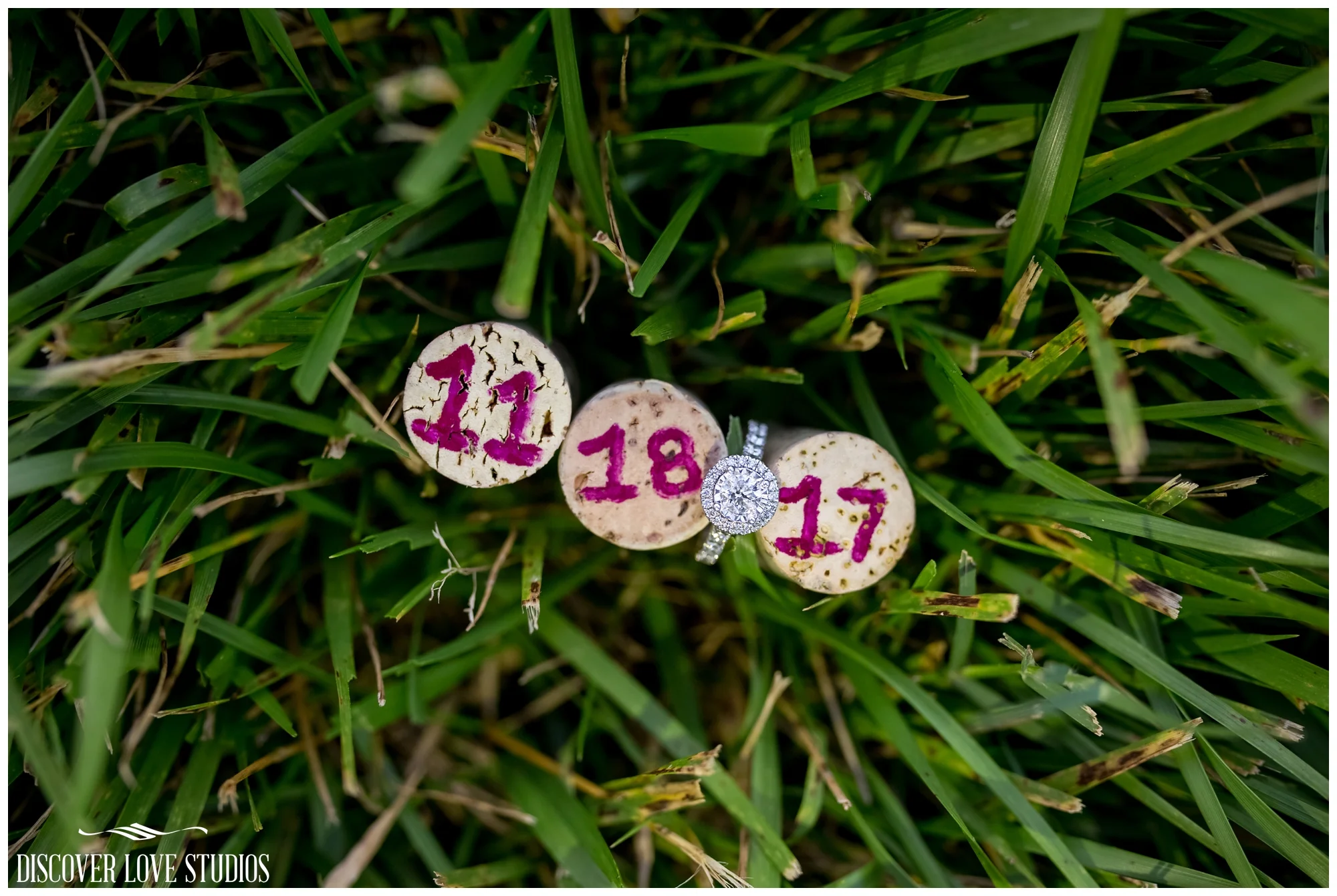 TiffanyBobbyEngagementSessionTreehouseVineyardsMonroeUptownCharlotteNCDiscoverLoveStudios_0017.jpg