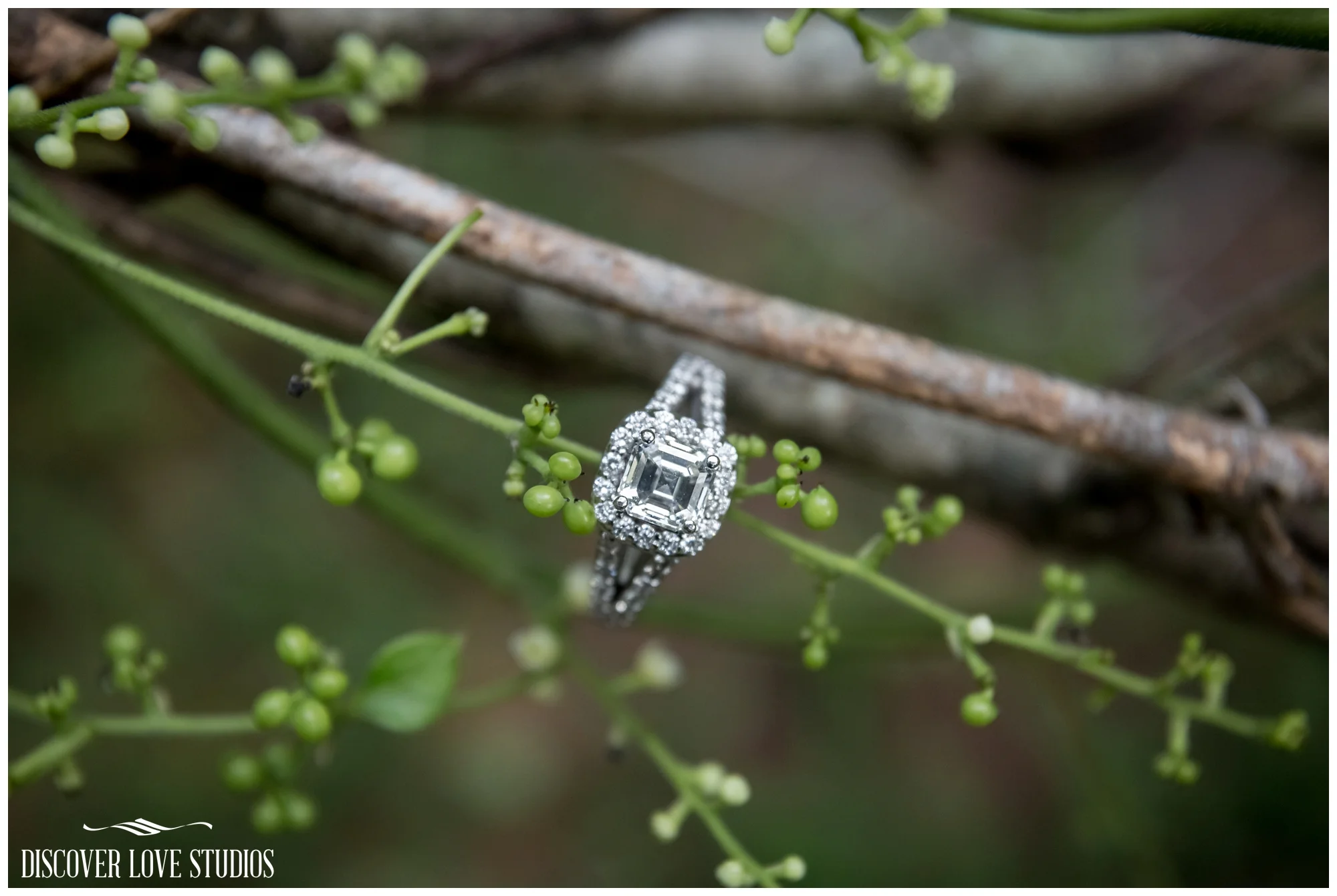 LizzieKodyDairyBarnEngagementSessionFortMillSCDiscoverLoveStudios_0022.jpg