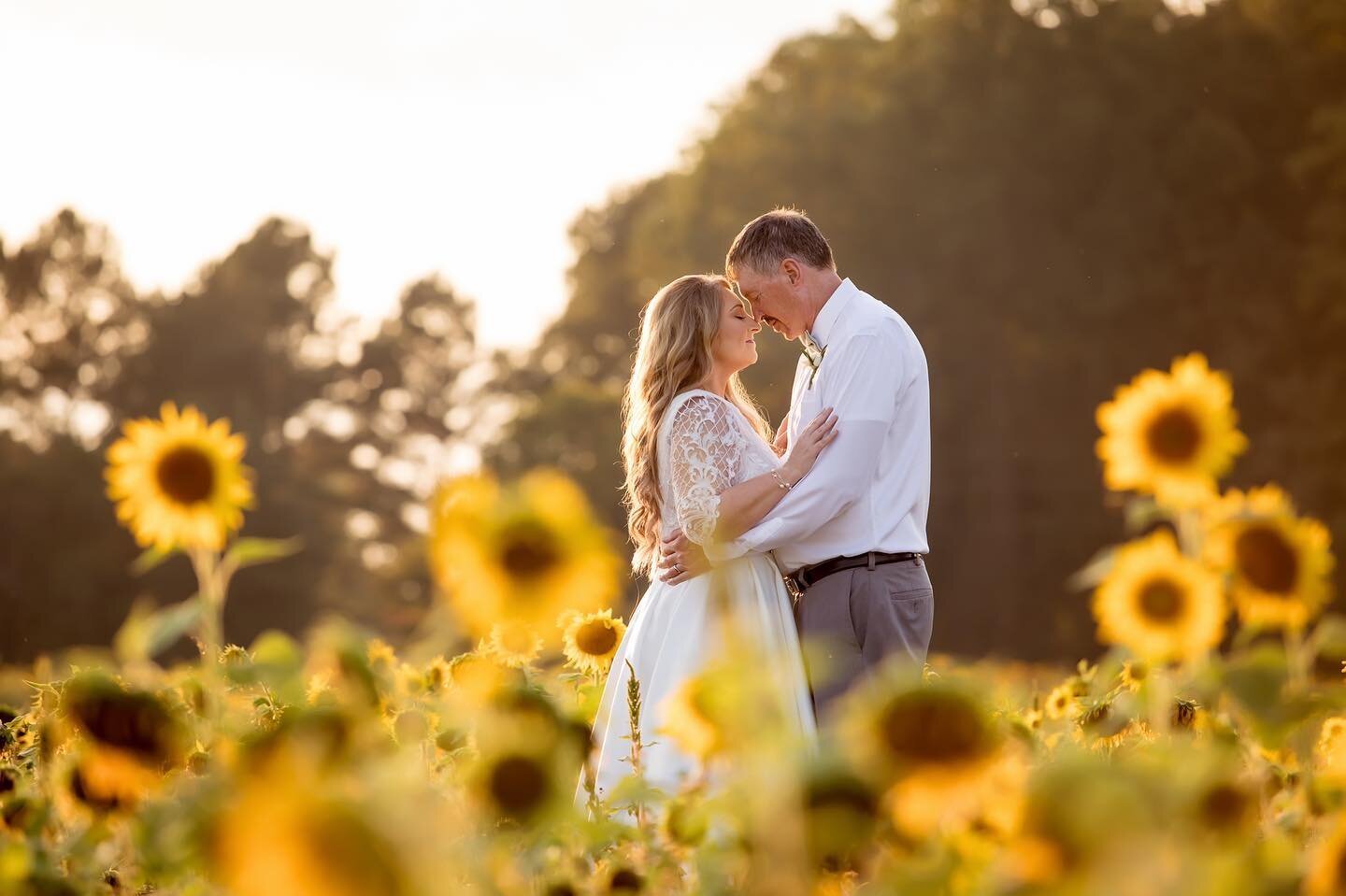 Shannon and Steve had all the love but no sunshine on their wedding day, so we devoted a whole session to some bride and groom portraits! And these sunflowers sure do make up for all the rain 🙌🏻
.
#discoverlovestudios #gettingmarried  #charlottewed