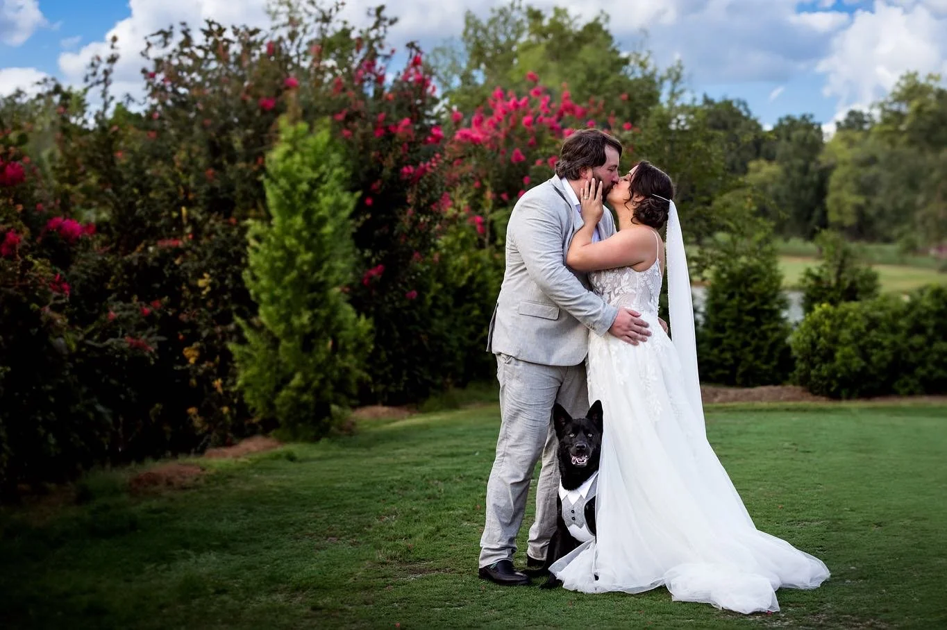 Sneak peeks of @phaug12 and Trip&rsquo;s wedding yesterday at @emeraldlaketheview! Although hot, it was an incredibly beautiful day! And their dog Vader had his 15 minutes too ❤️ can&rsquo;t wait to share more!