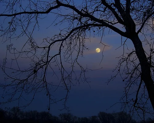 blue_moon