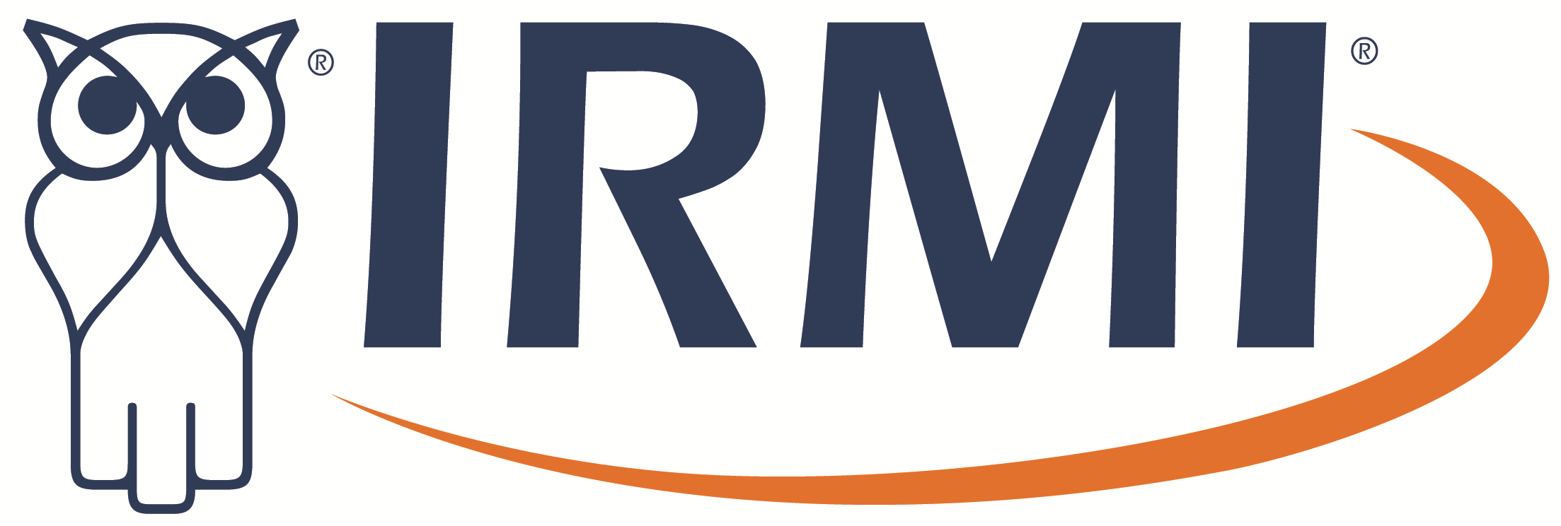 LOGO - IRMI.png