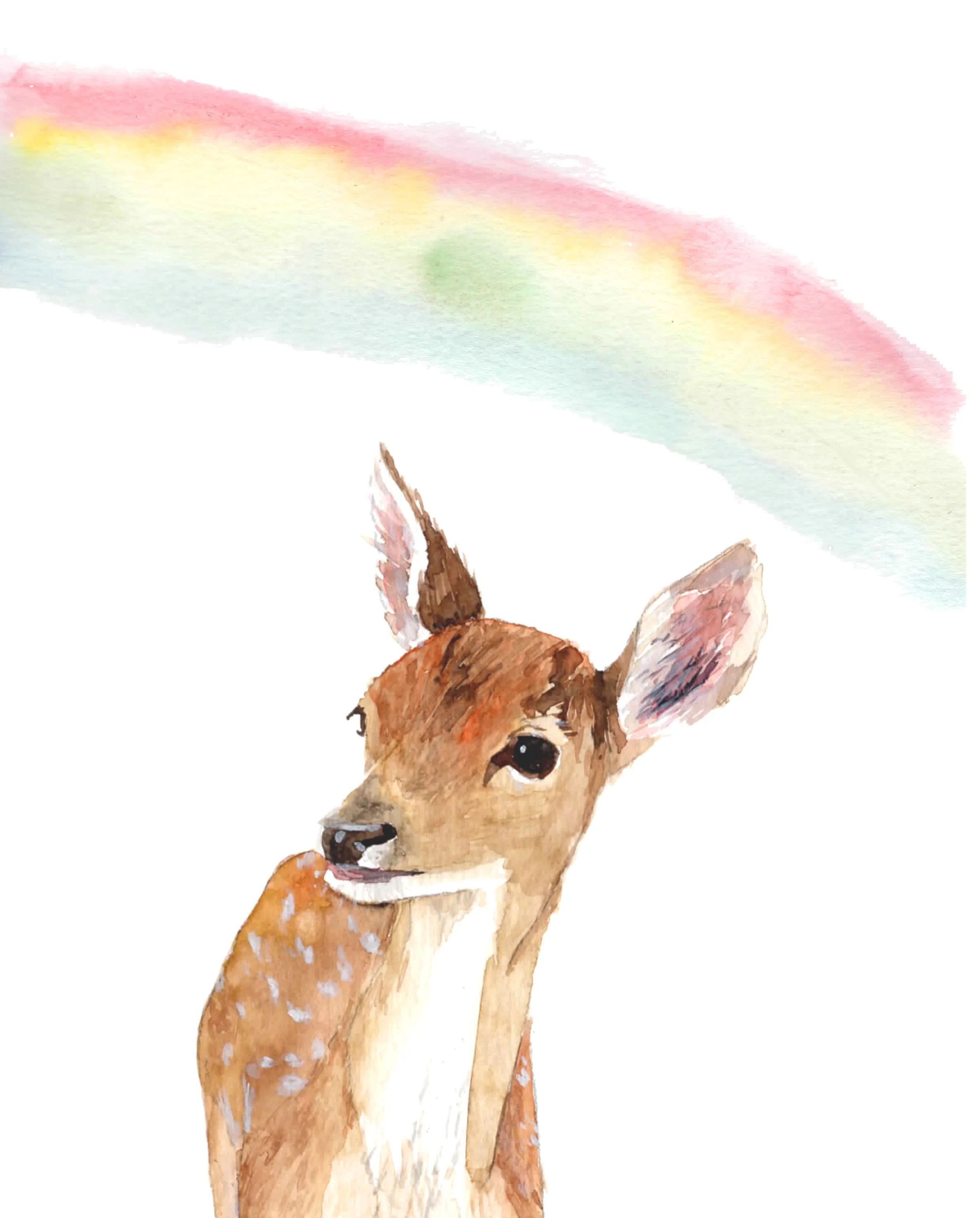 8x10-promisefawn.jpg