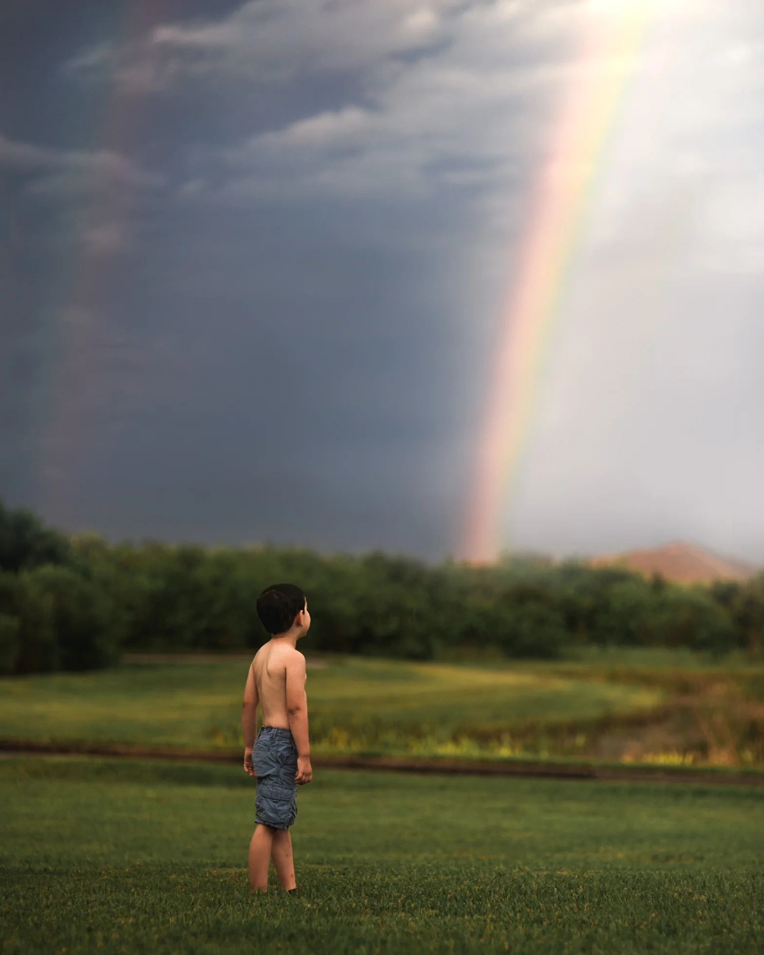 rainbowFINwowdp.jpg