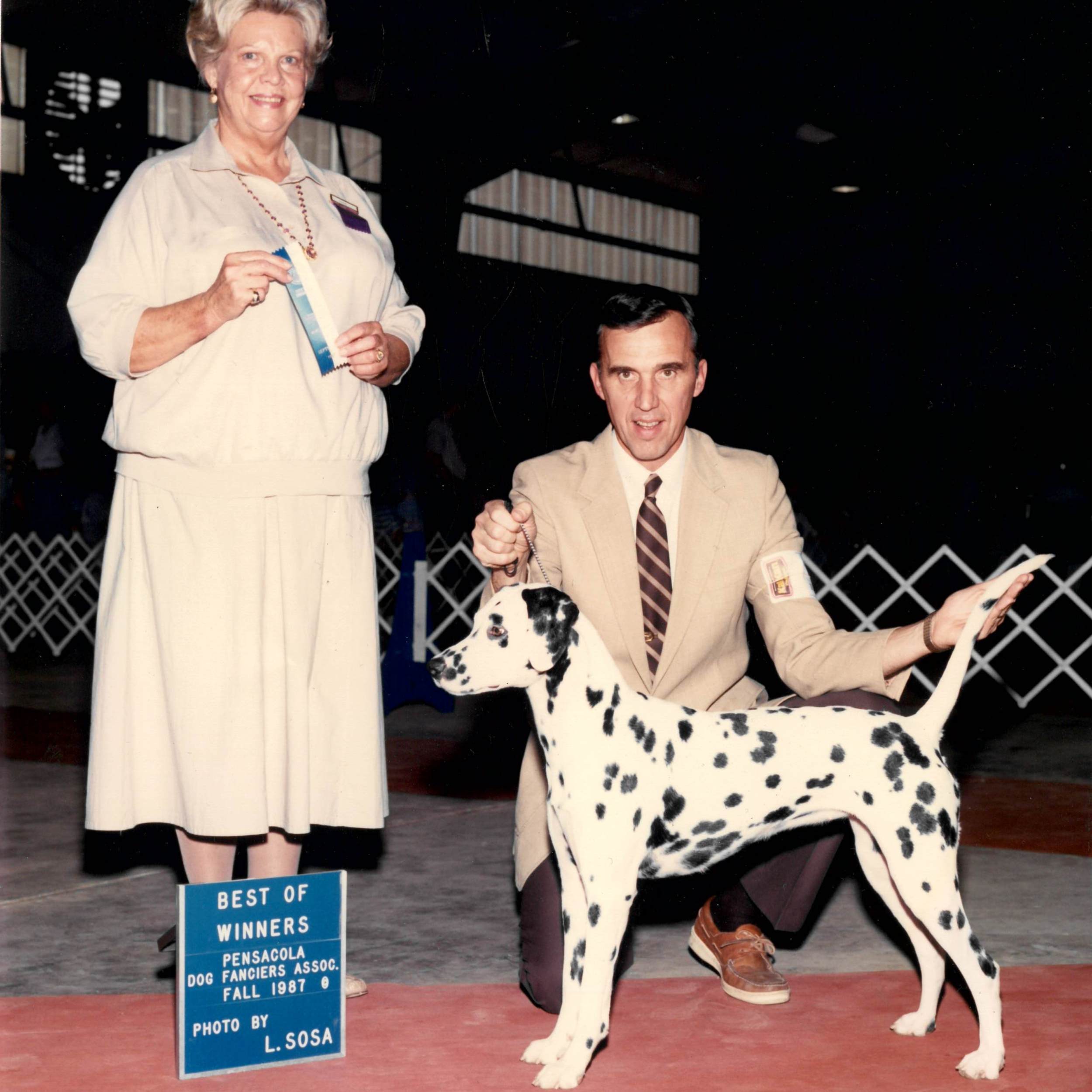 Best in Show Album Cover.png