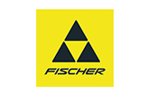 BIG-Innovation-fischer-Logo.png