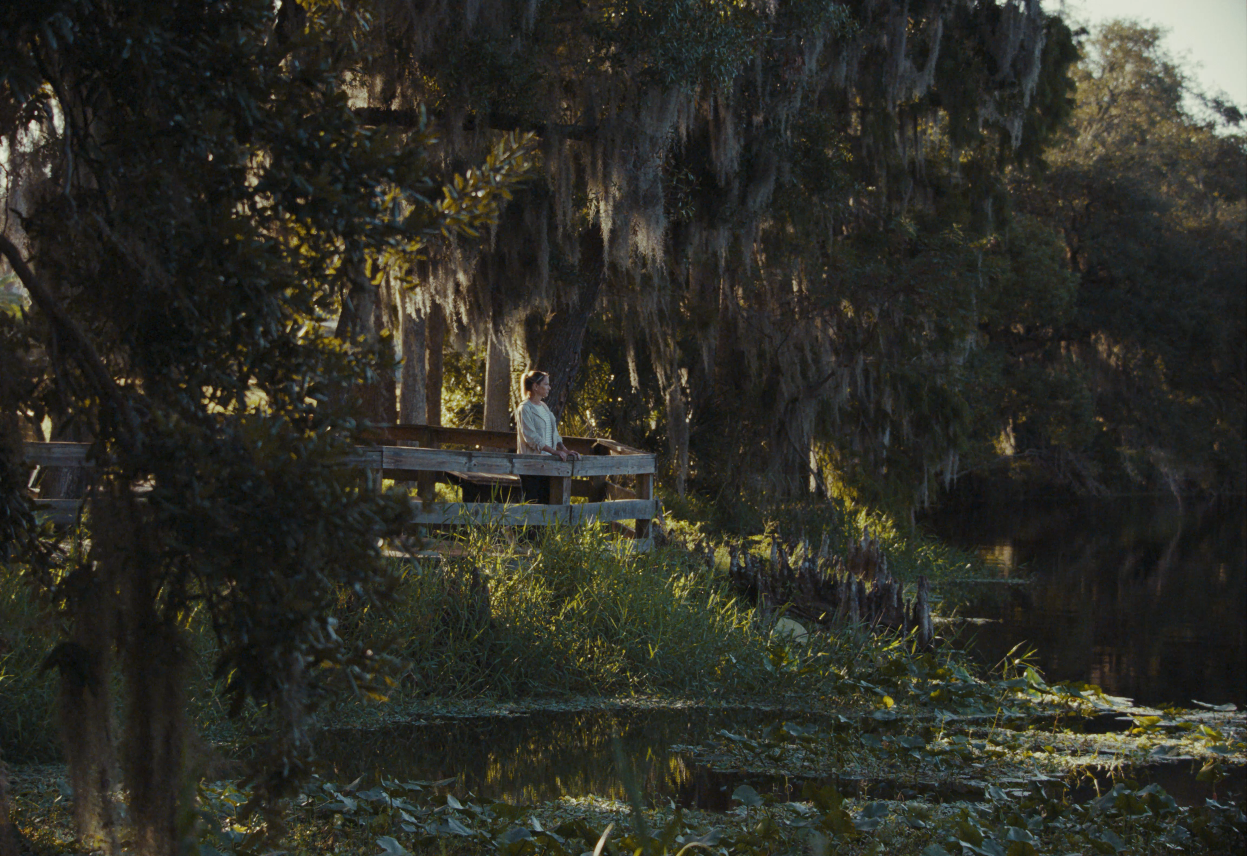 Sequence 01.00_00_35_14.Still009.png