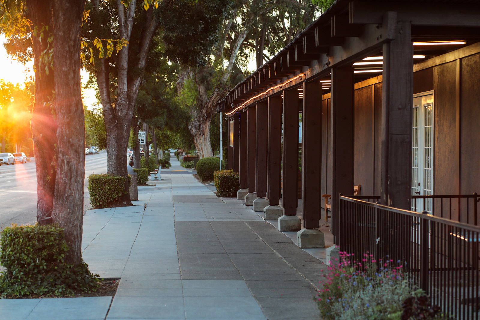 Midtown+Palo+Alto+Blu+Skye+Media-1137-X3.jpg
