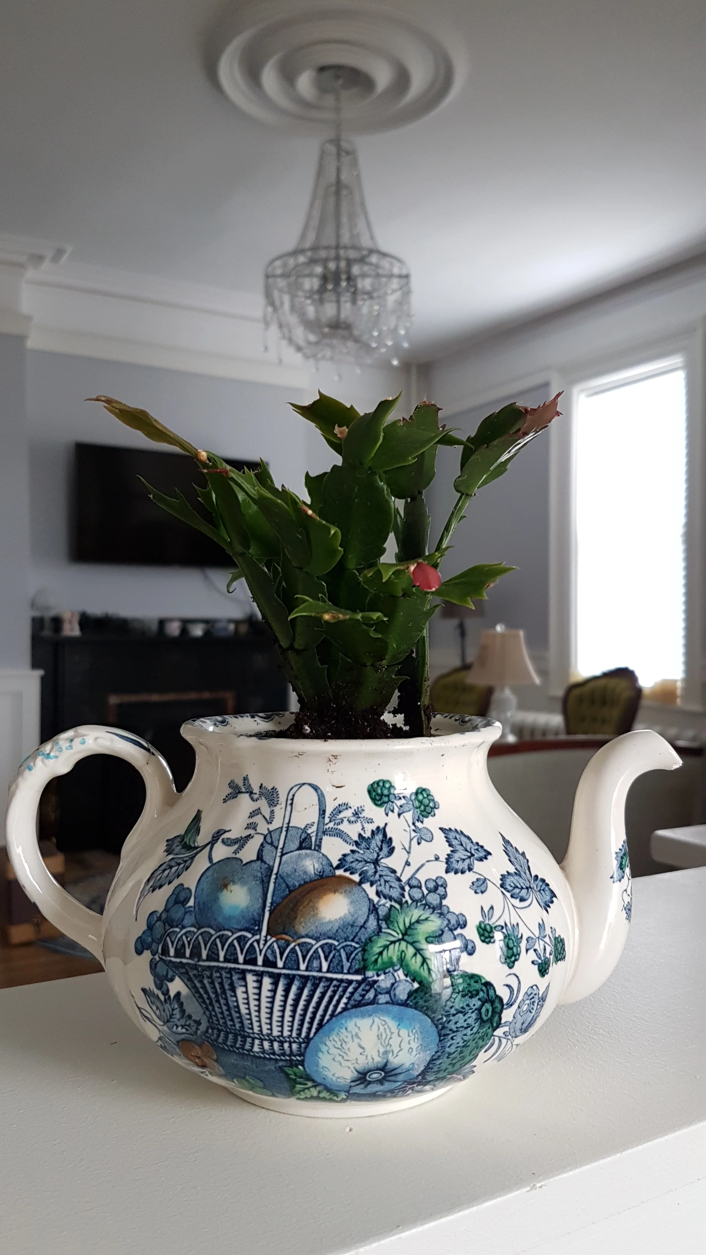 20190426_135251.jpg