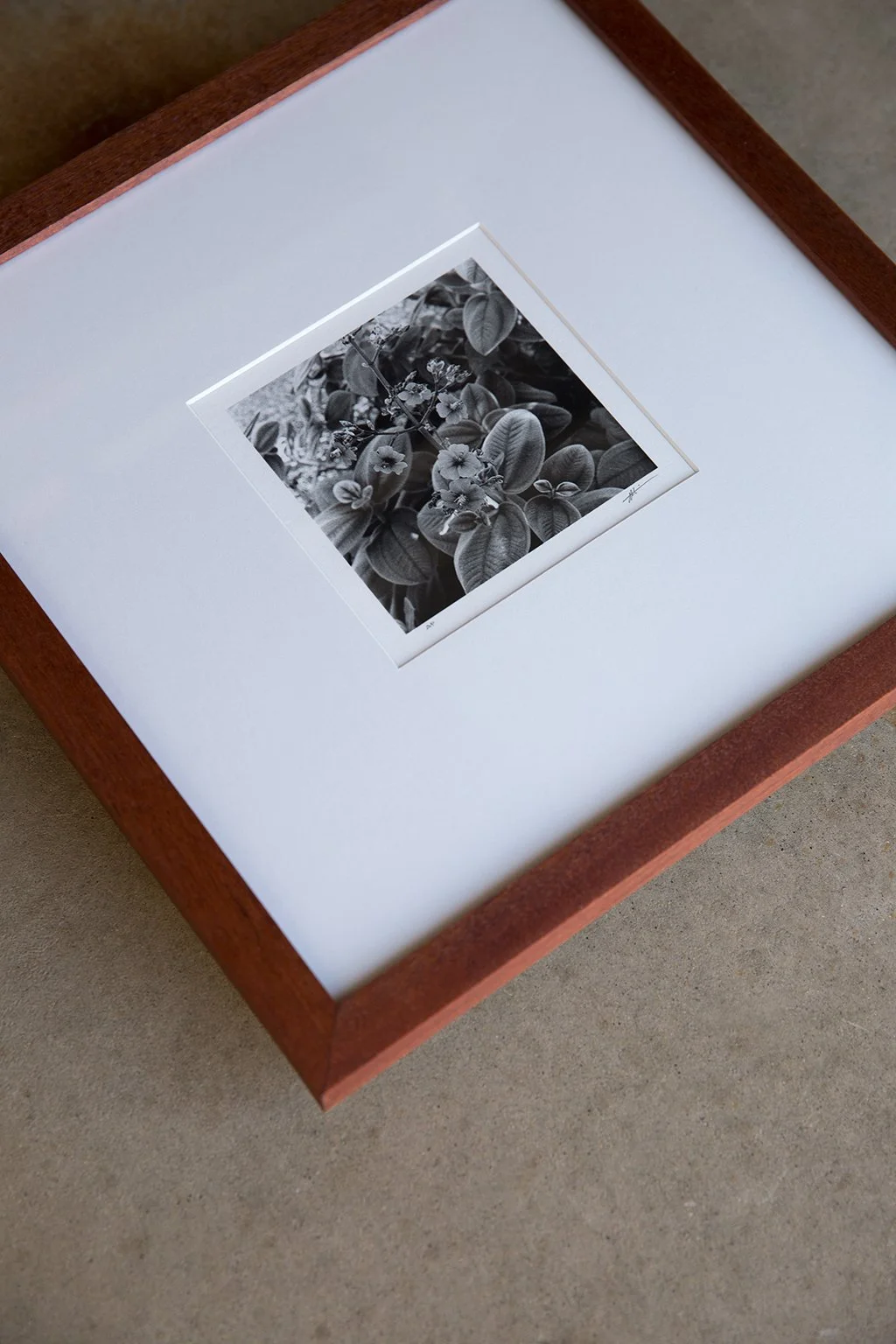 Along-Prints-Secret-Garden-by-David-Lopez-06.jpg