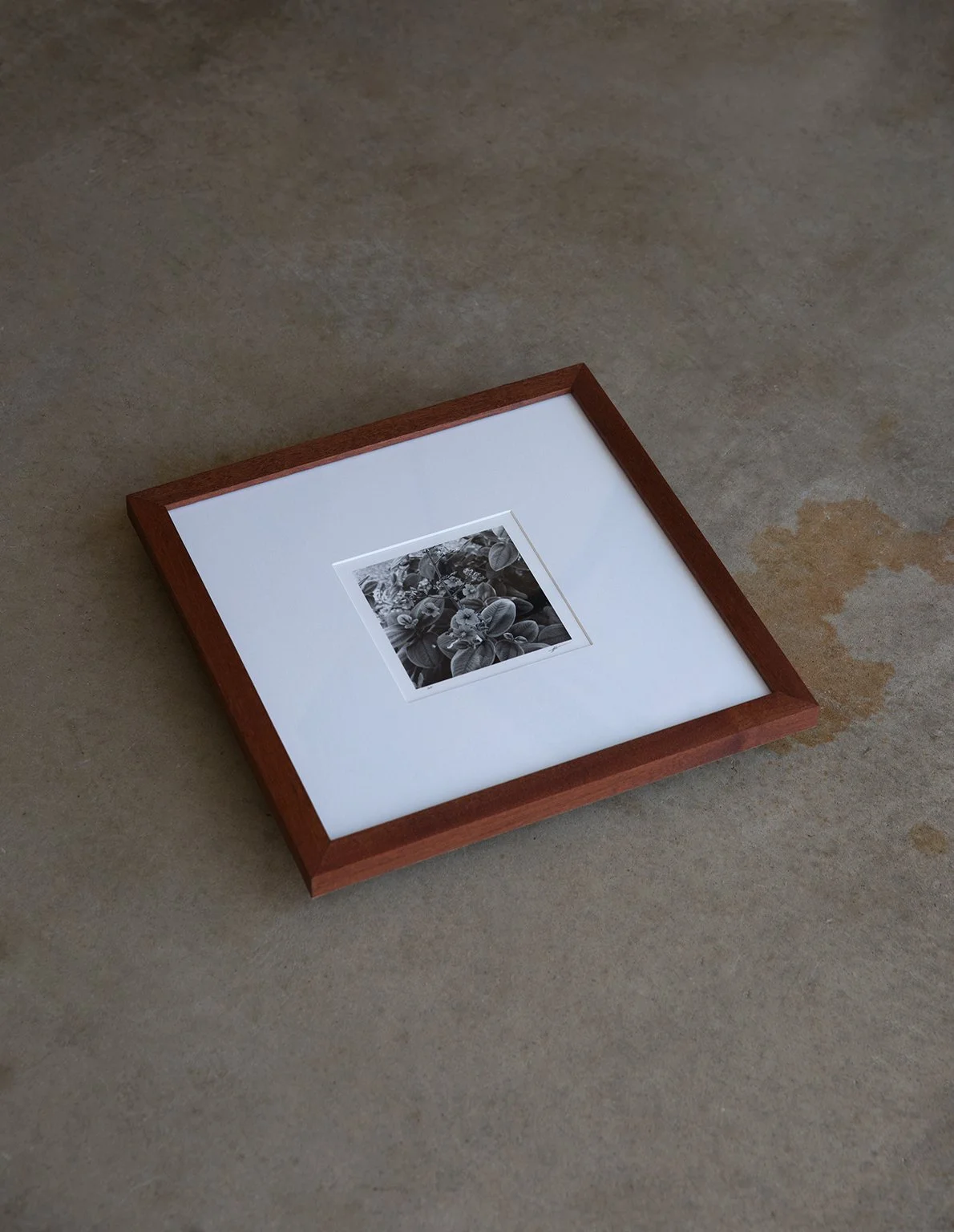 Along-Prints-Secret-Garden-by-David-Lopez-01.jpg
