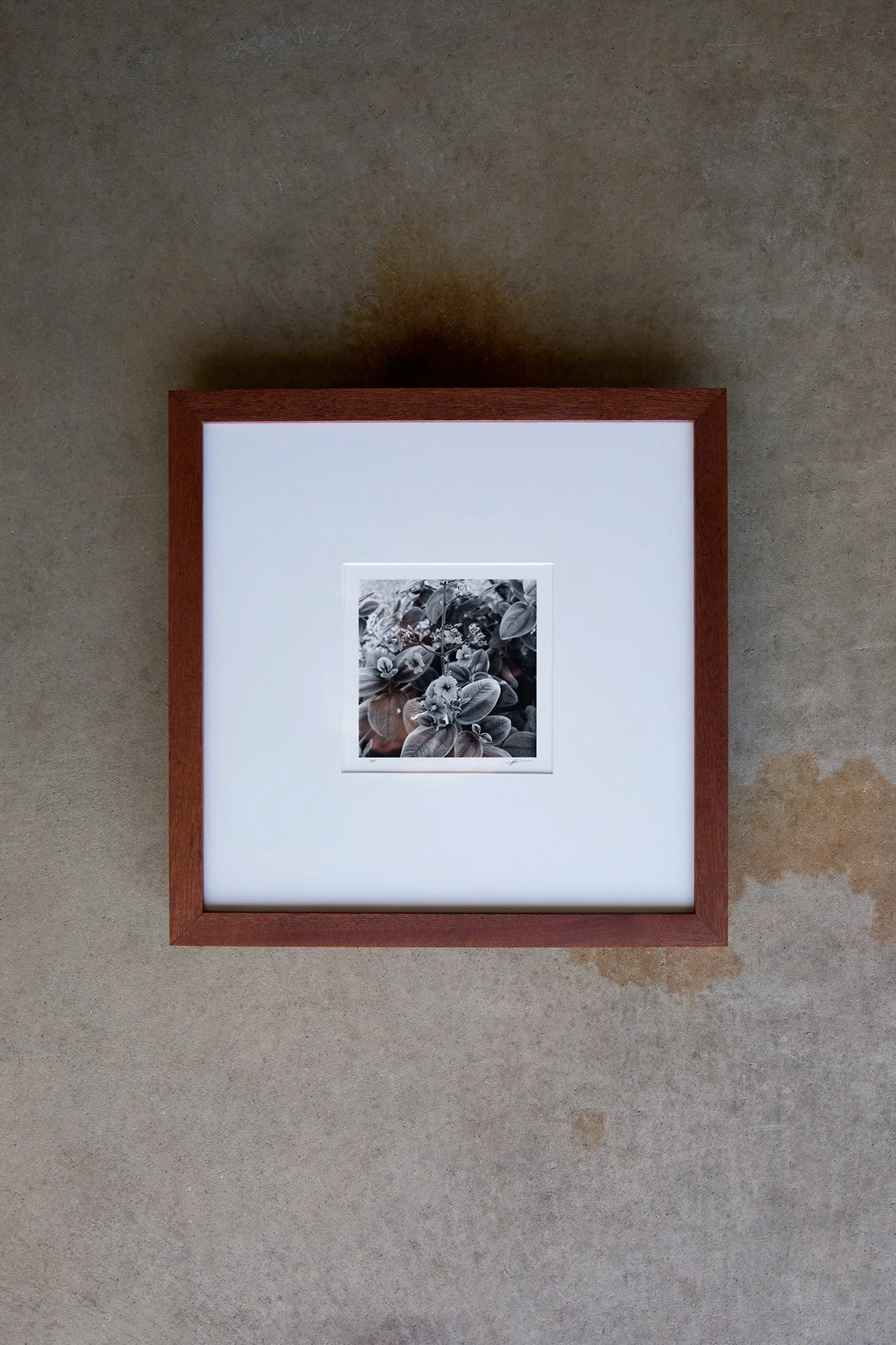 Along-Prints-Secret-Garden-by-David-Lopez-03.jpg