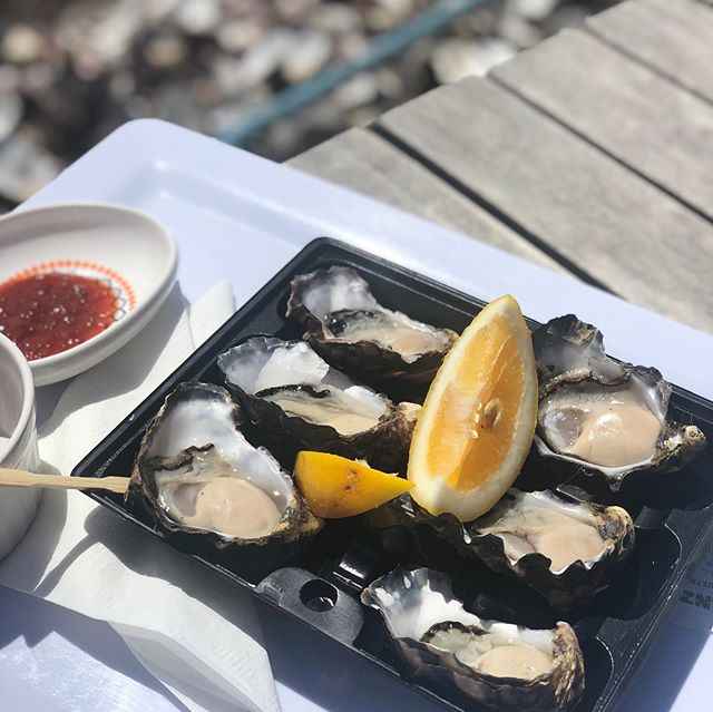Fresh seafood, local produce, delicious wine and beautiful scenery - Tasmania has been a dream!