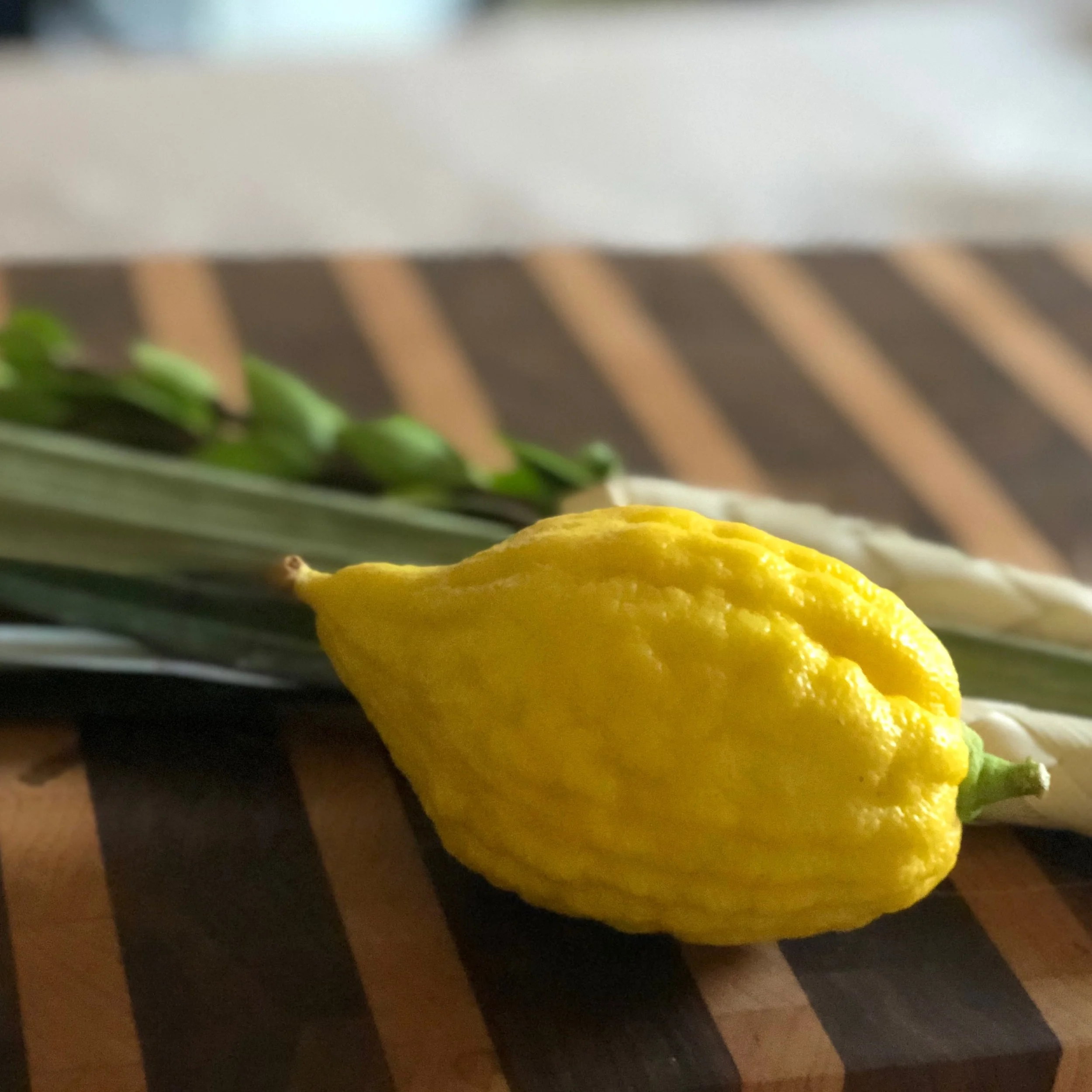 The Secret History of the Etrog (aka Citron)