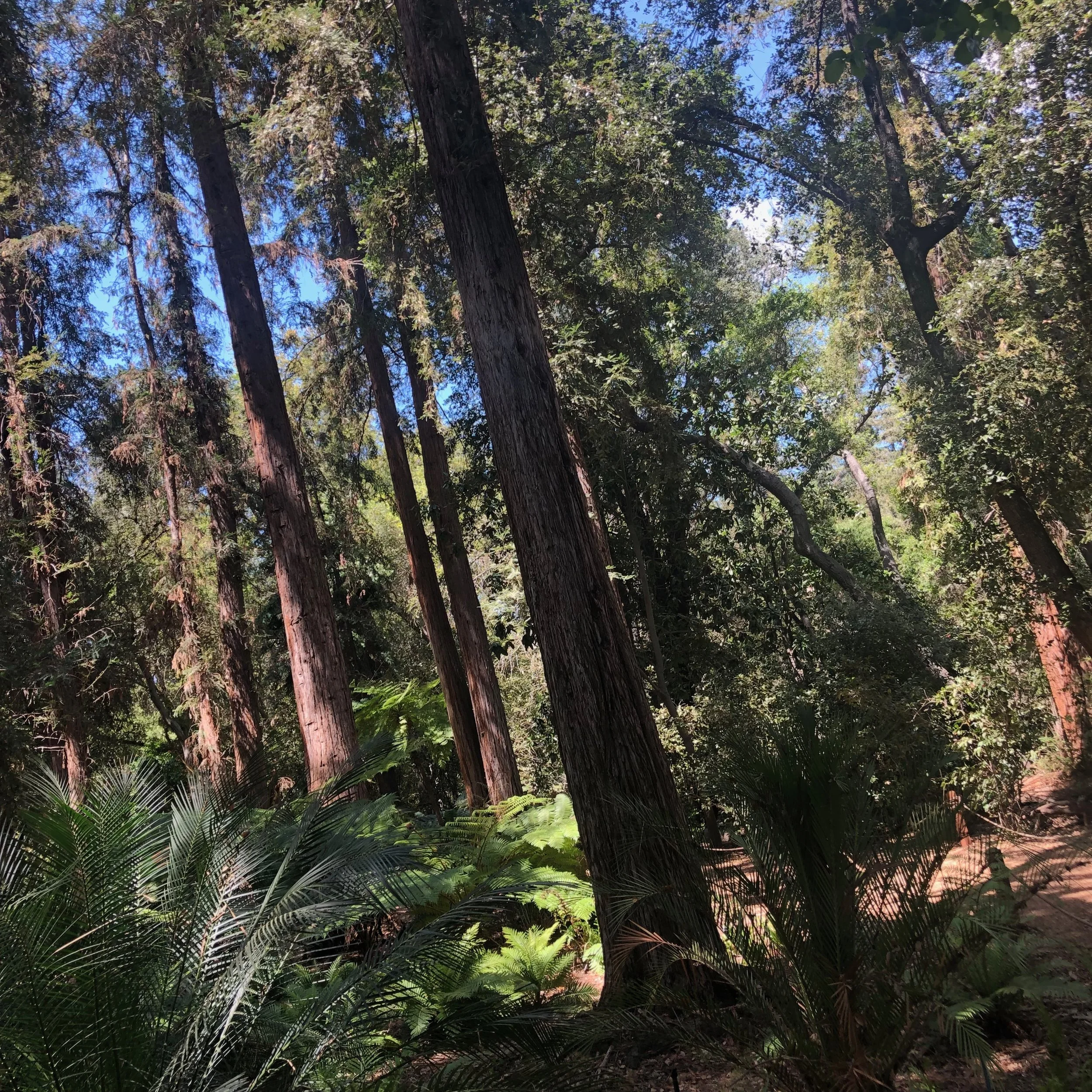 The Lost Art Of Interacting With The Natural World