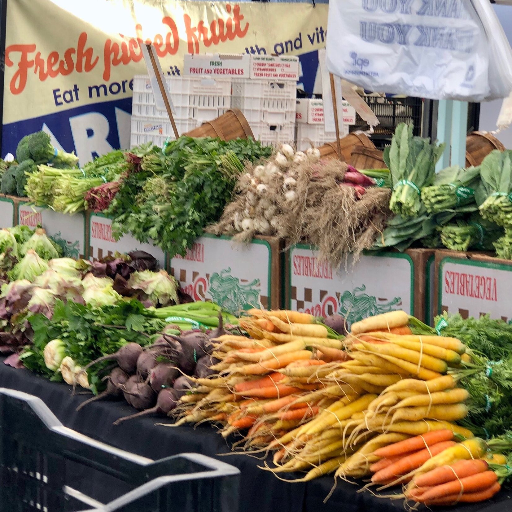 farmers_market_carrots_lettuce.jpeg